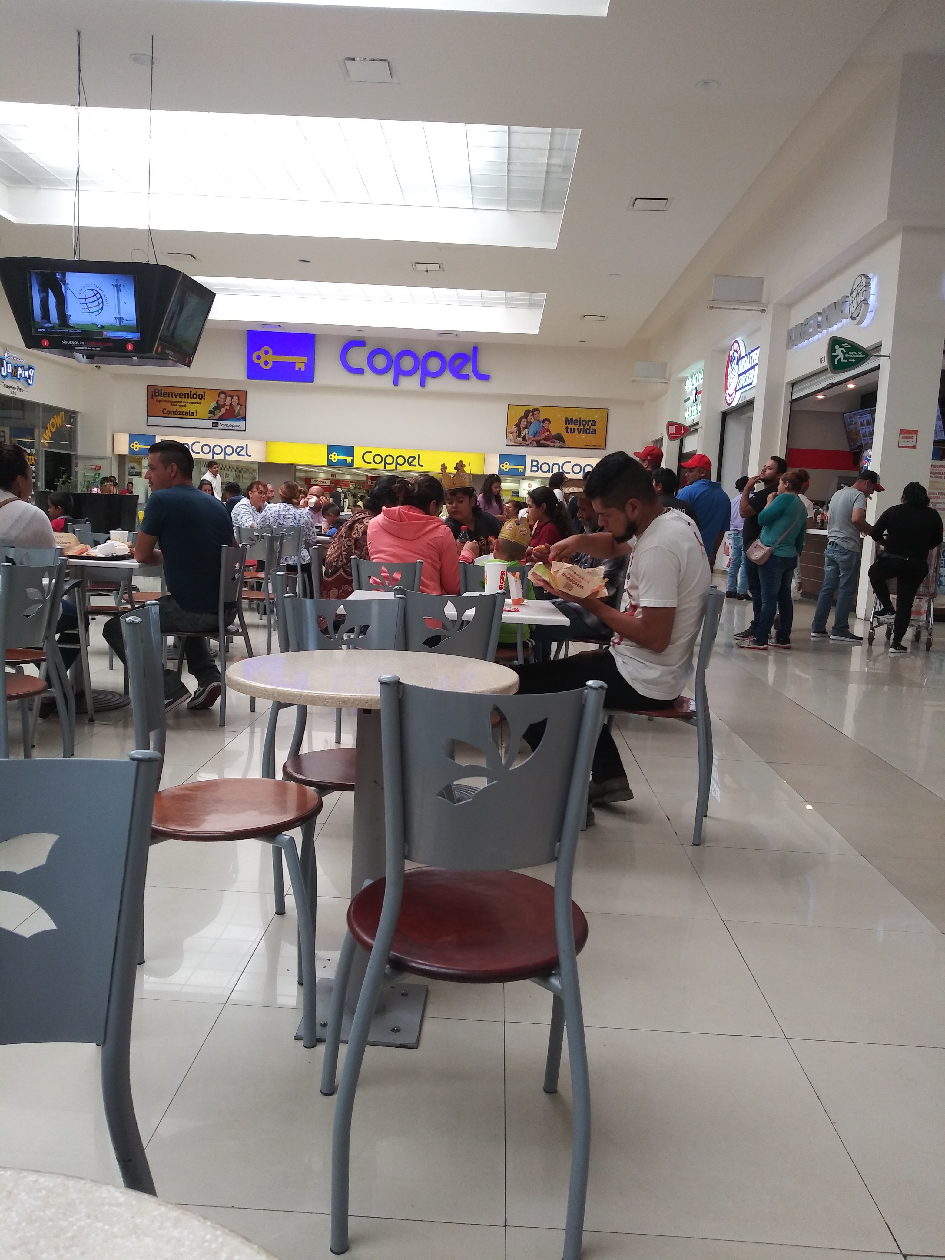 Ristorante y Pizzería Di Totino image 2