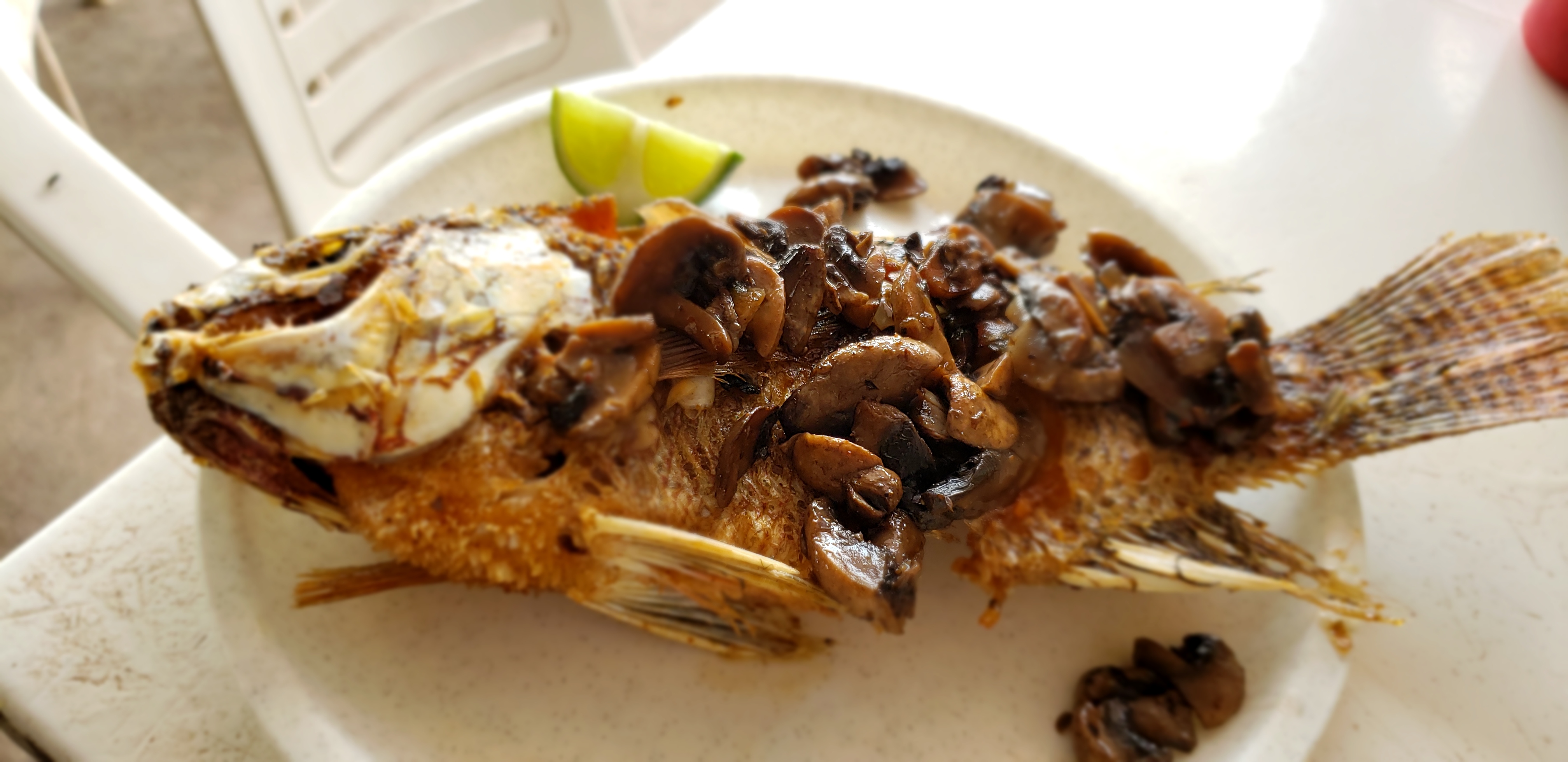 Mojarras Milio image 1