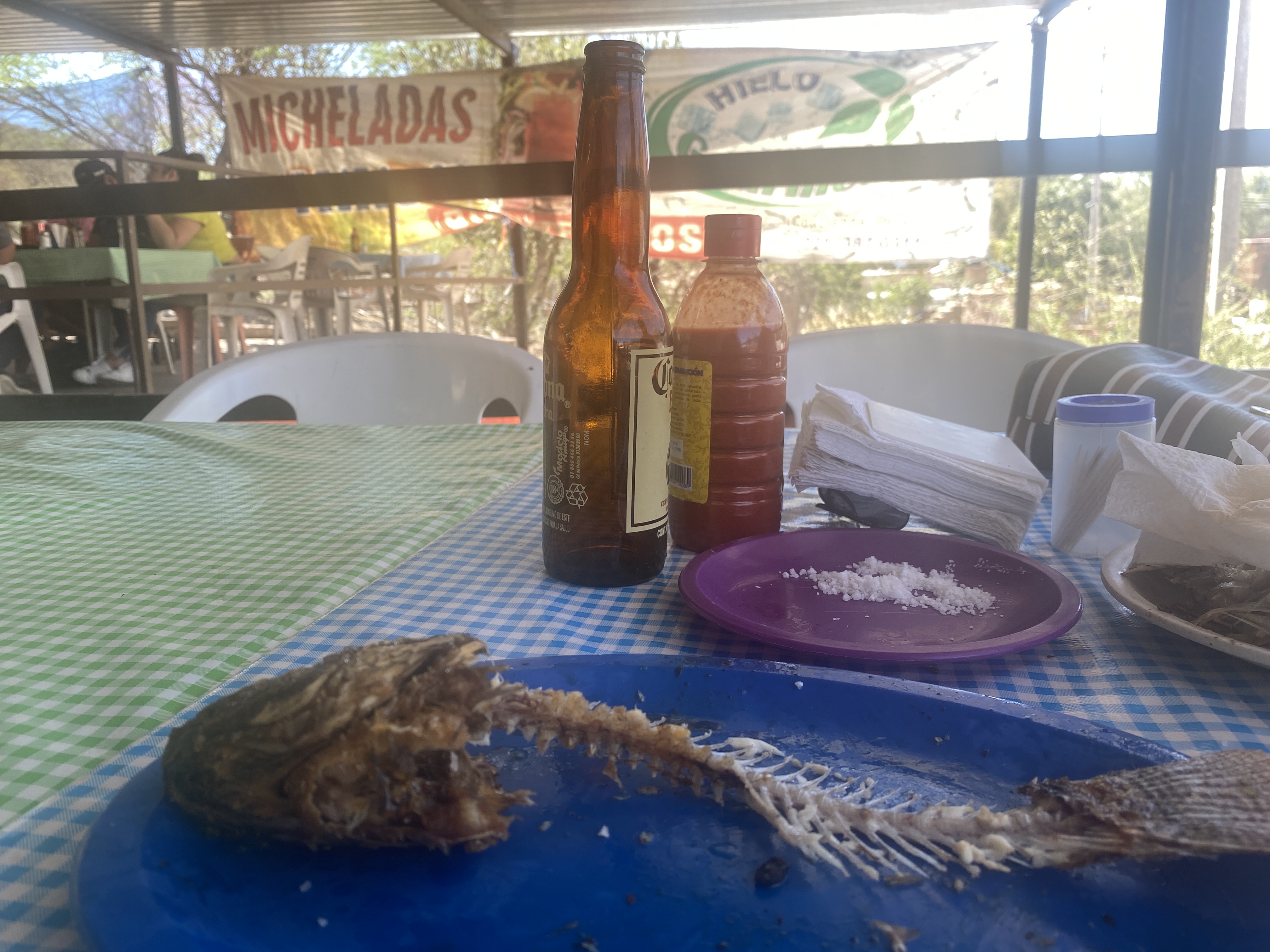 Mojarras Milio image 6