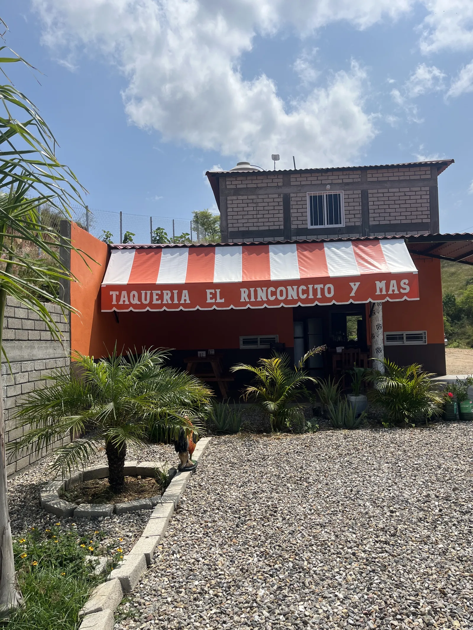 Taquería El Rinconcito image 2