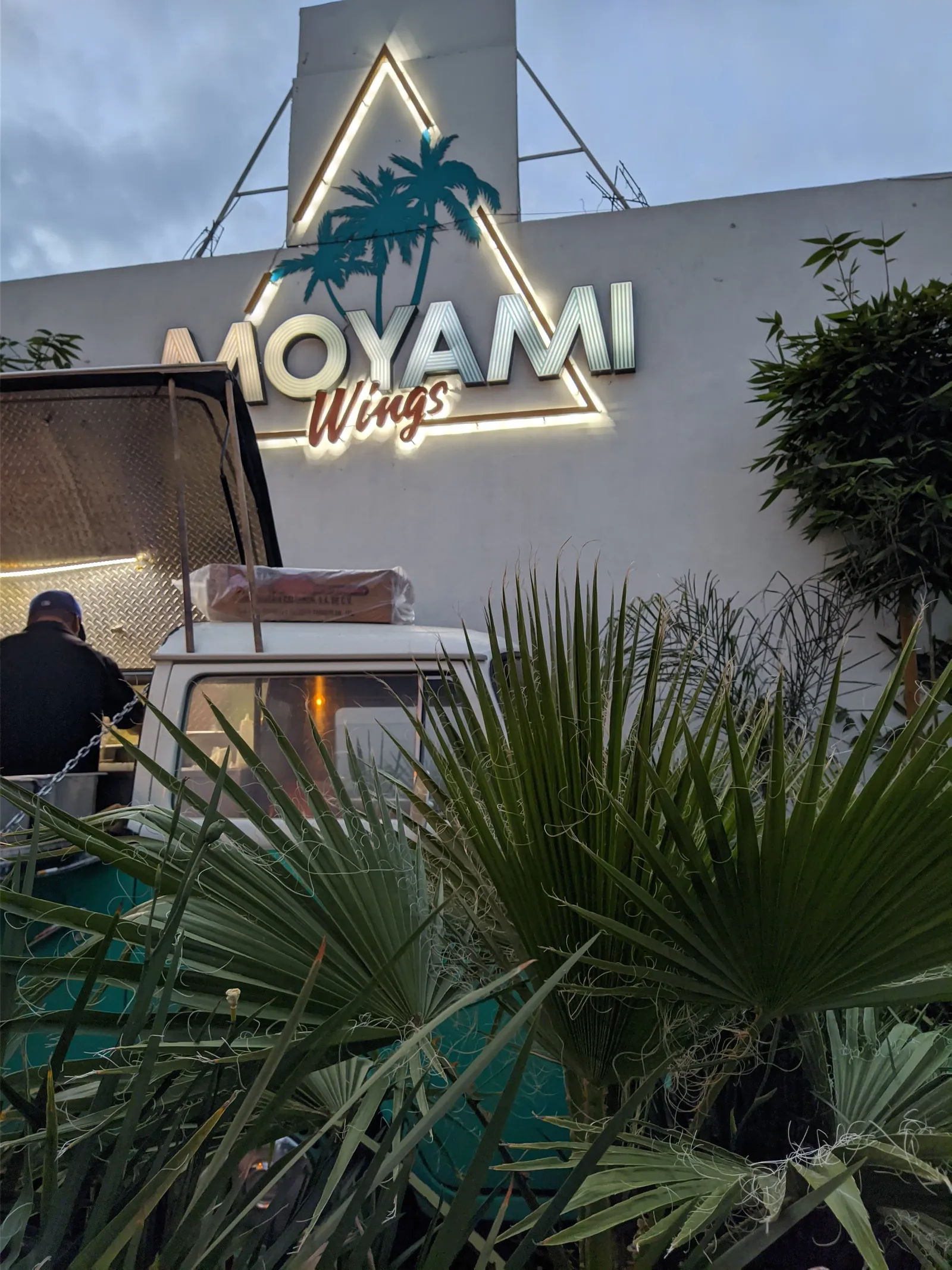 Moyami wings image 3