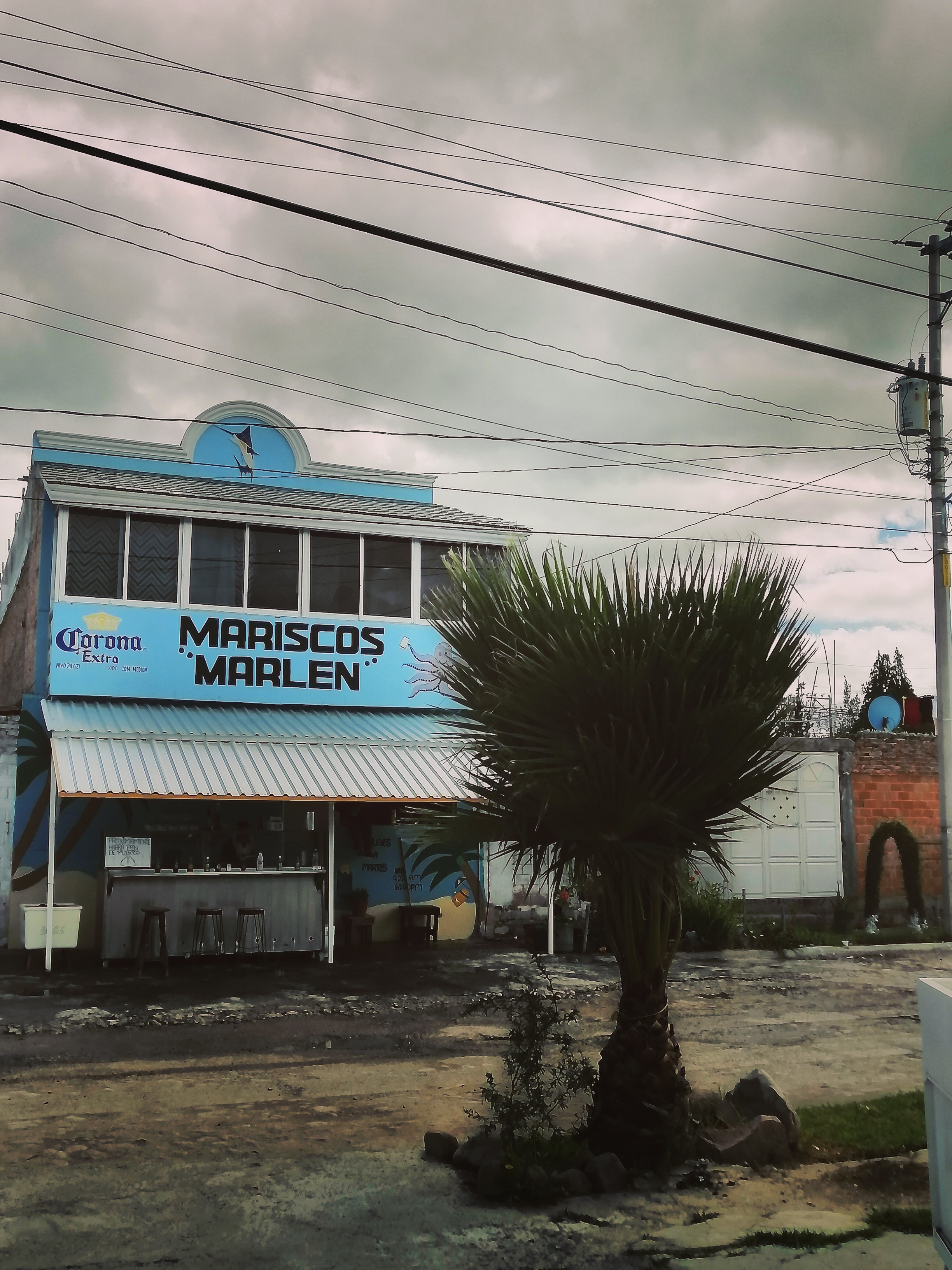 Mariscos Marlen, ( Mariscos El Abuelo) image 4