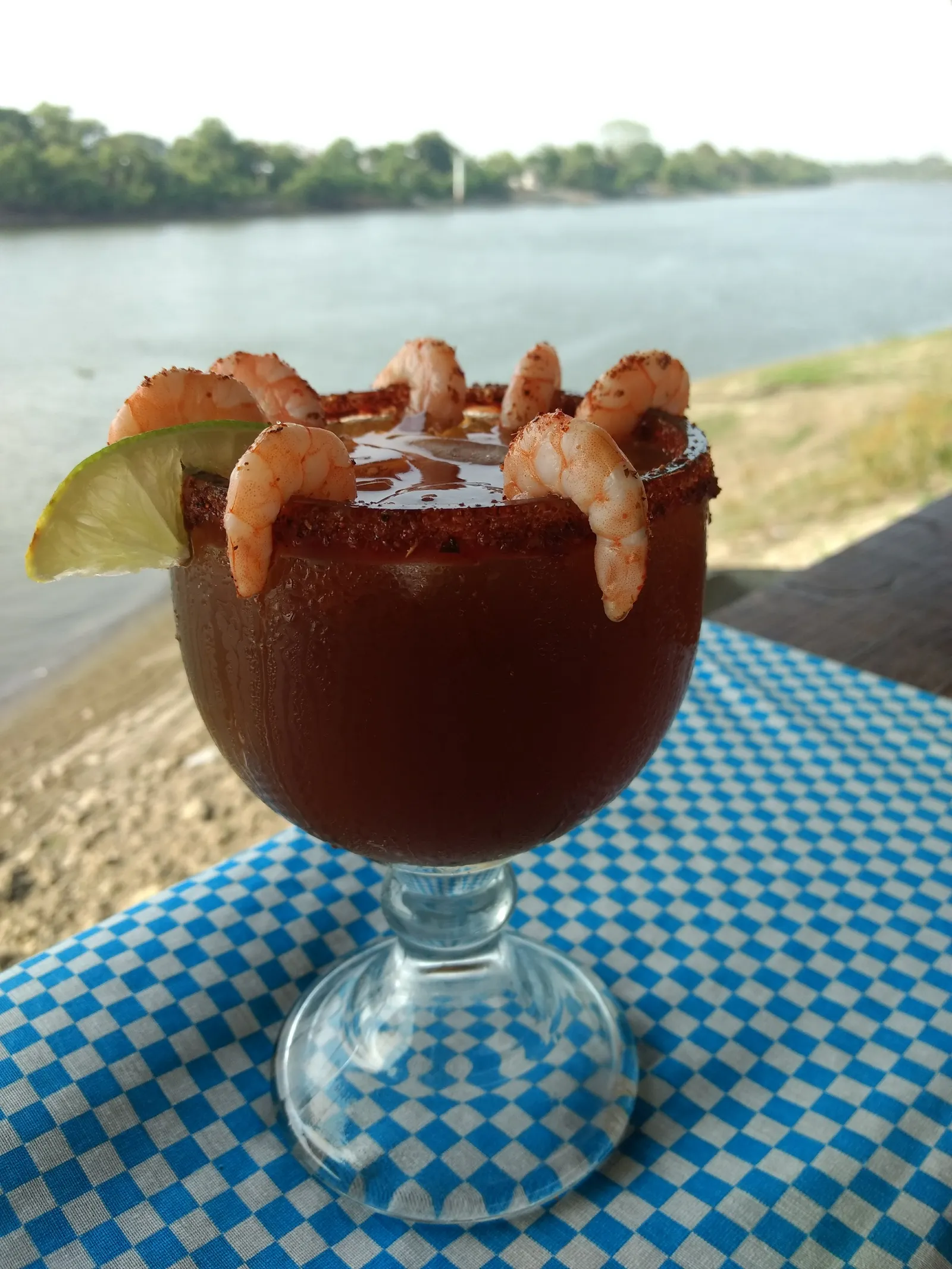 Las Brisas Del Grijalva image 10