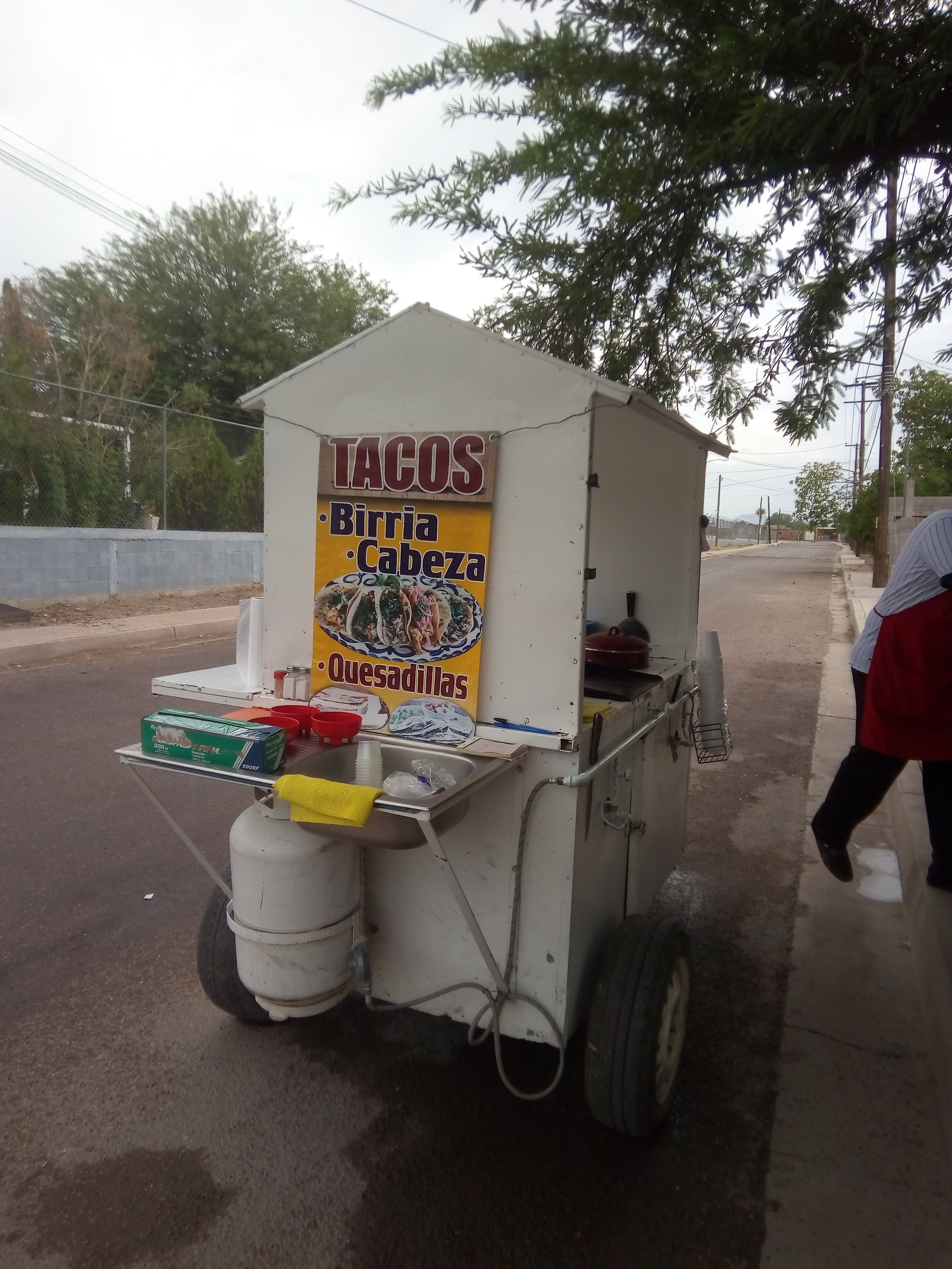 Tacos de Birria cabeza y quesabirrias y jugos image 7