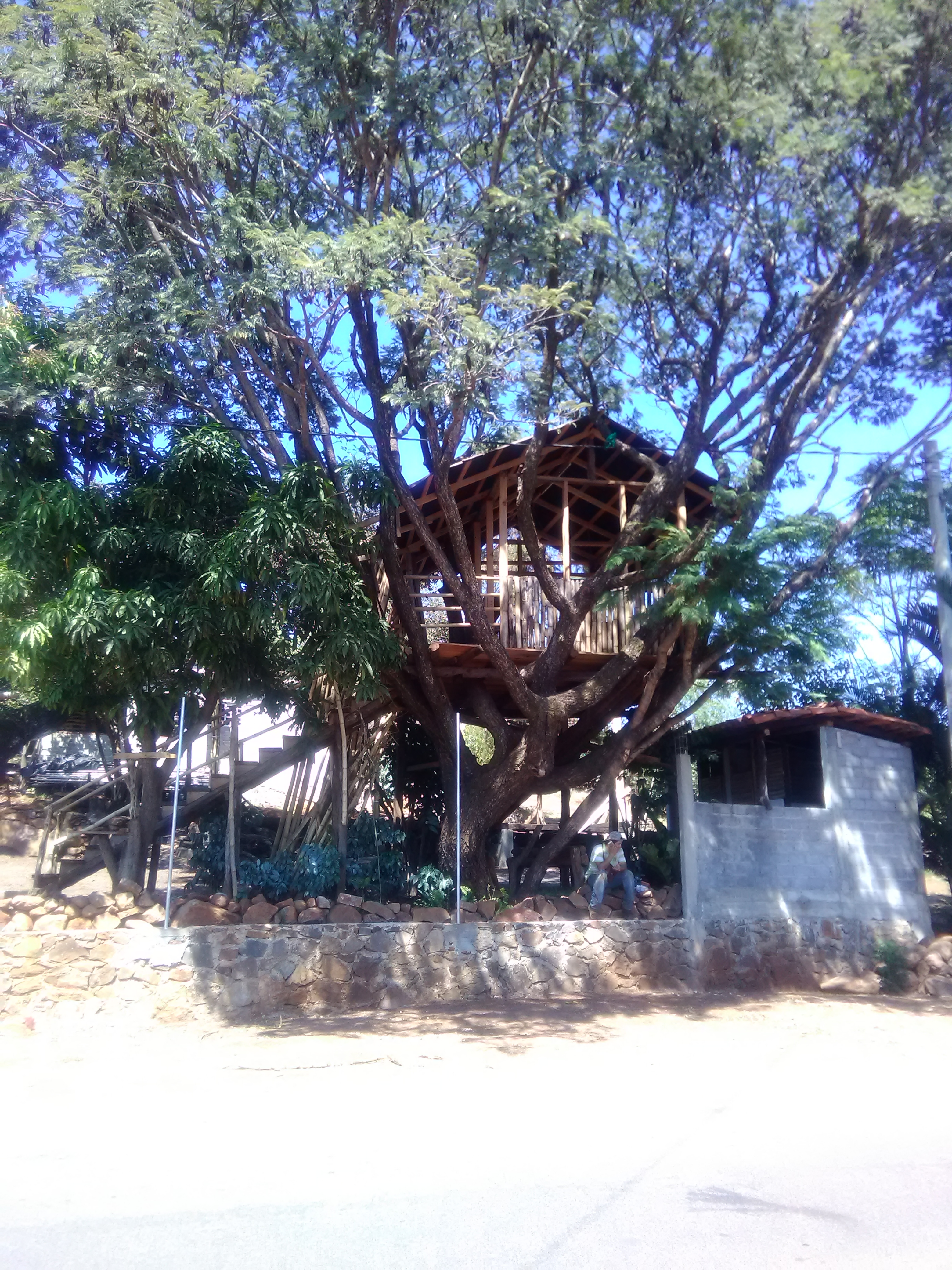 La casa del árbol image 3