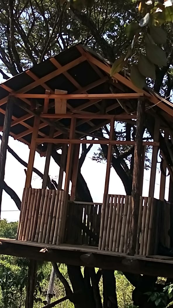 La casa del árbol image 5