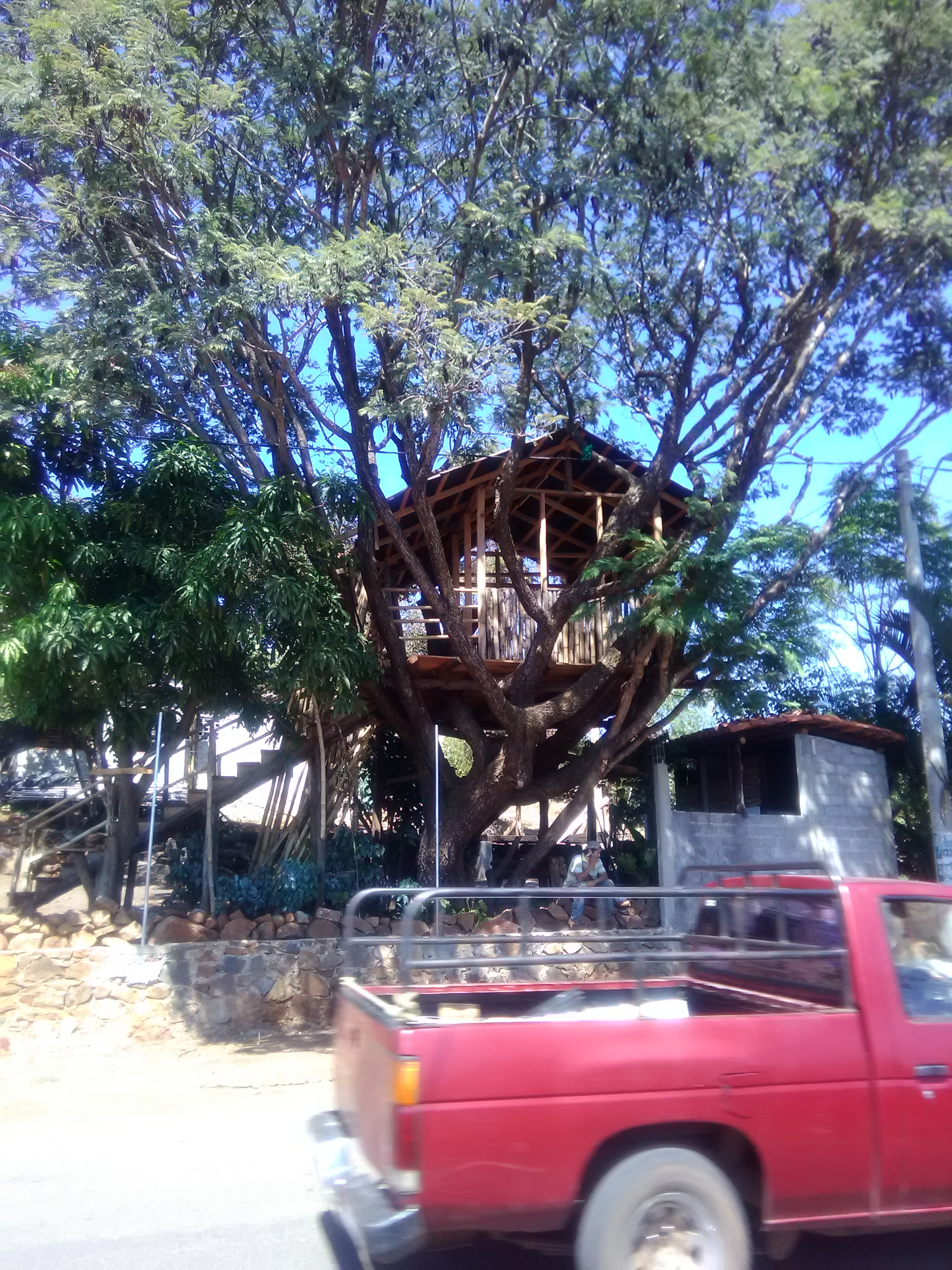 La casa del árbol image 9