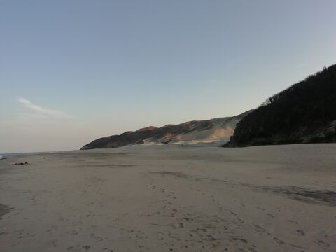 "NORIBEL" image 5