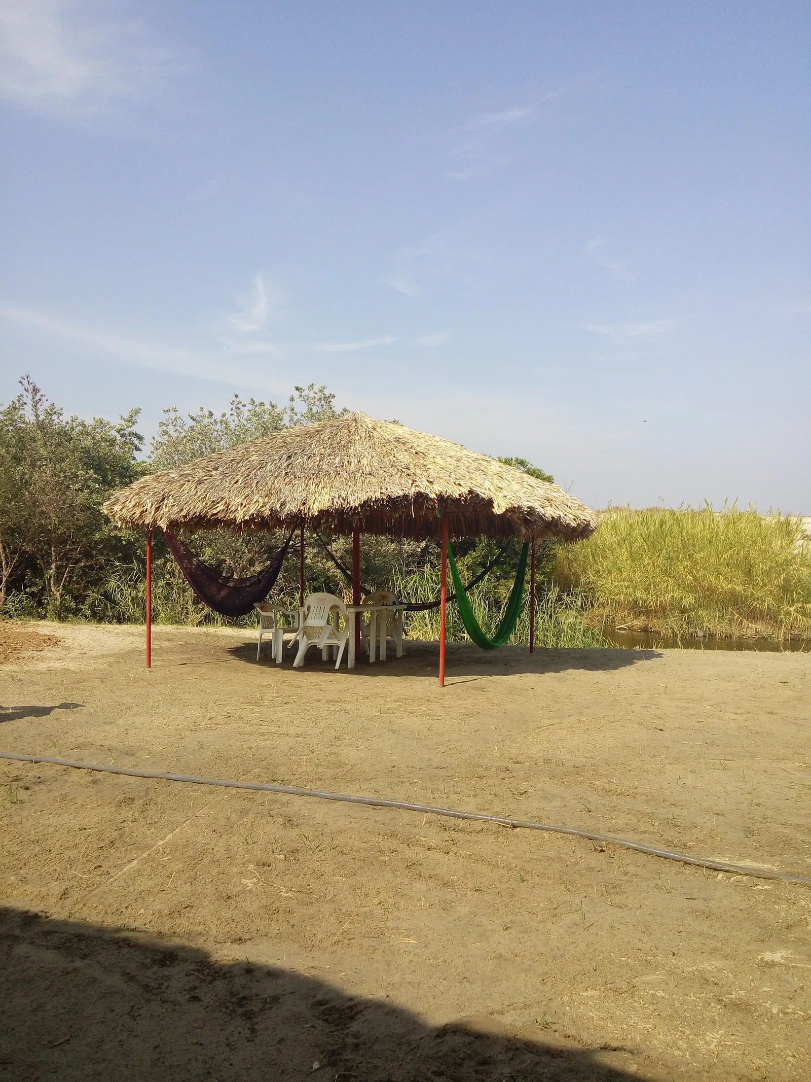 "NORIBEL" image 7