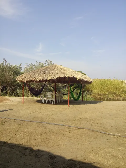 "NORIBEL" image 7