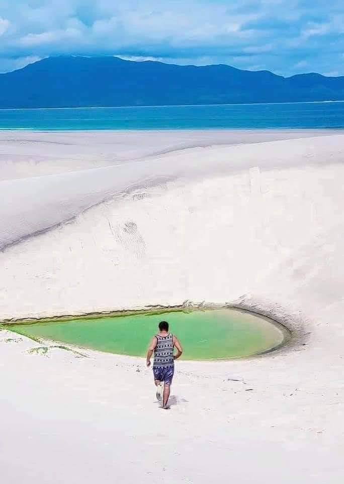 Palapa el sol naciente de luvia y toño image 10