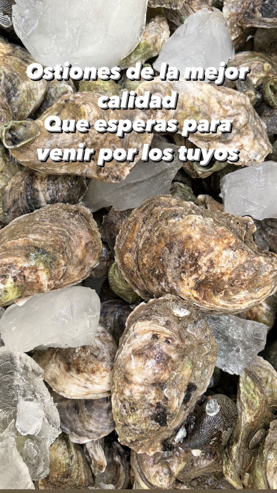 La Cruderia 13 image 4