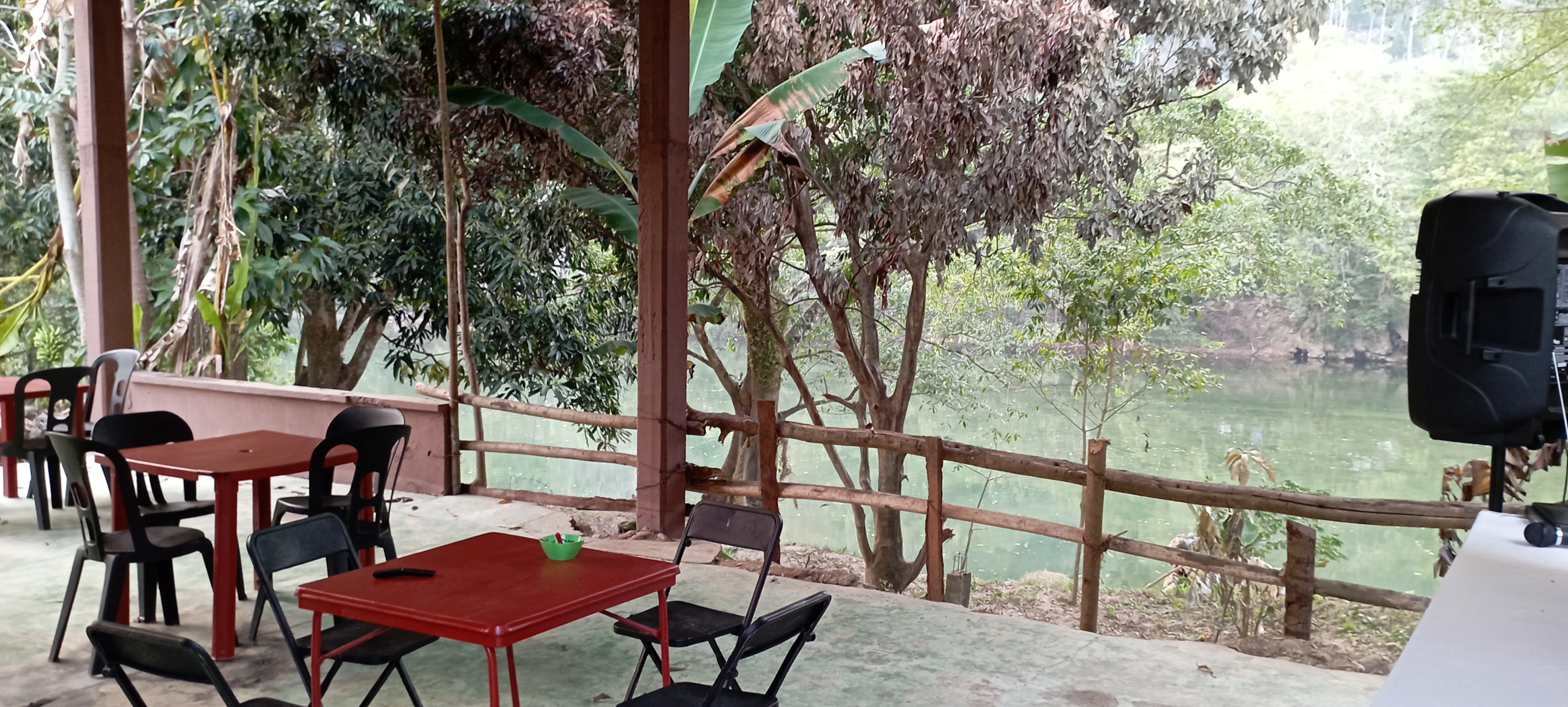 Divinas Alitas image 1