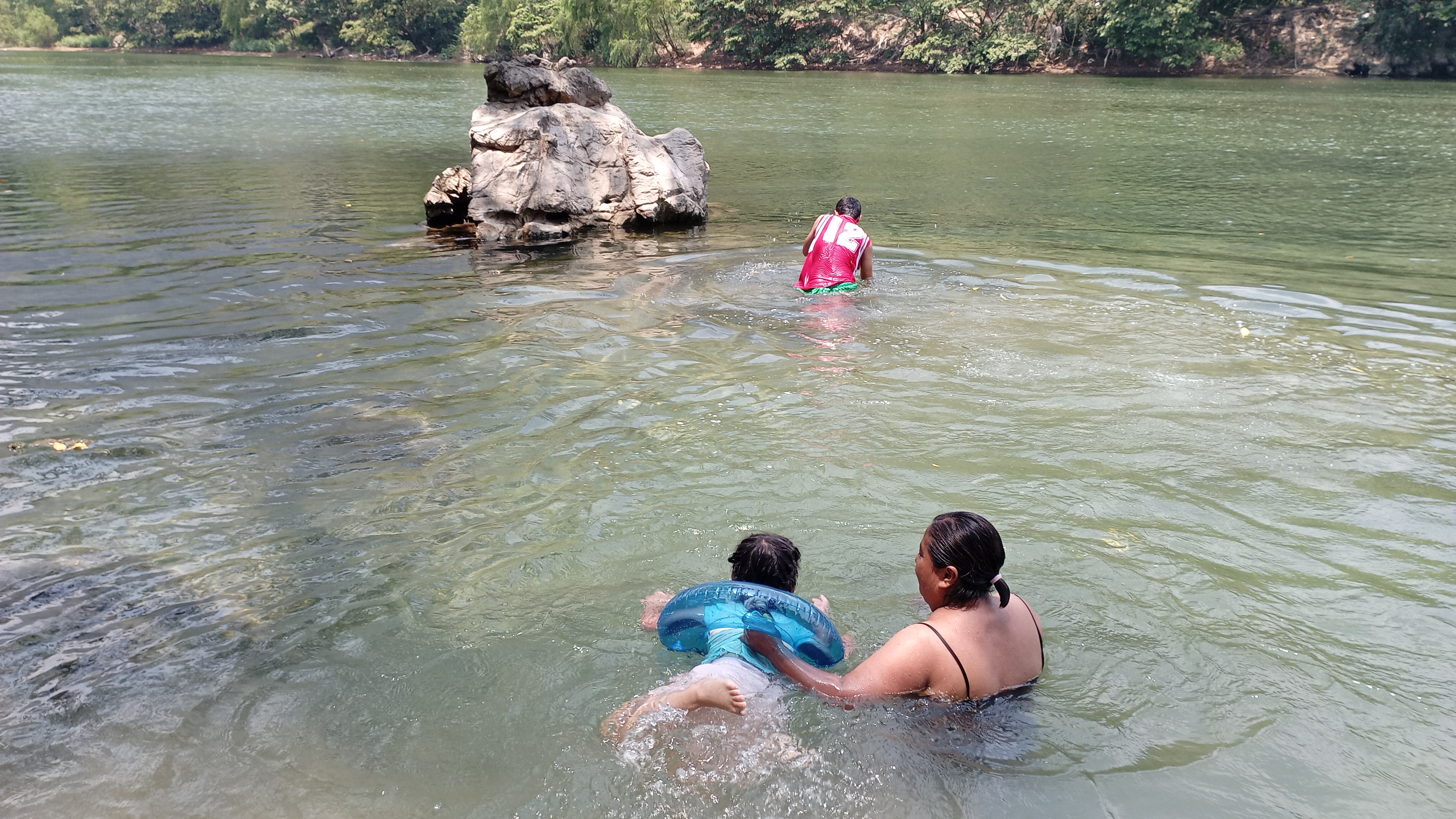 Divinas Alitas image 5