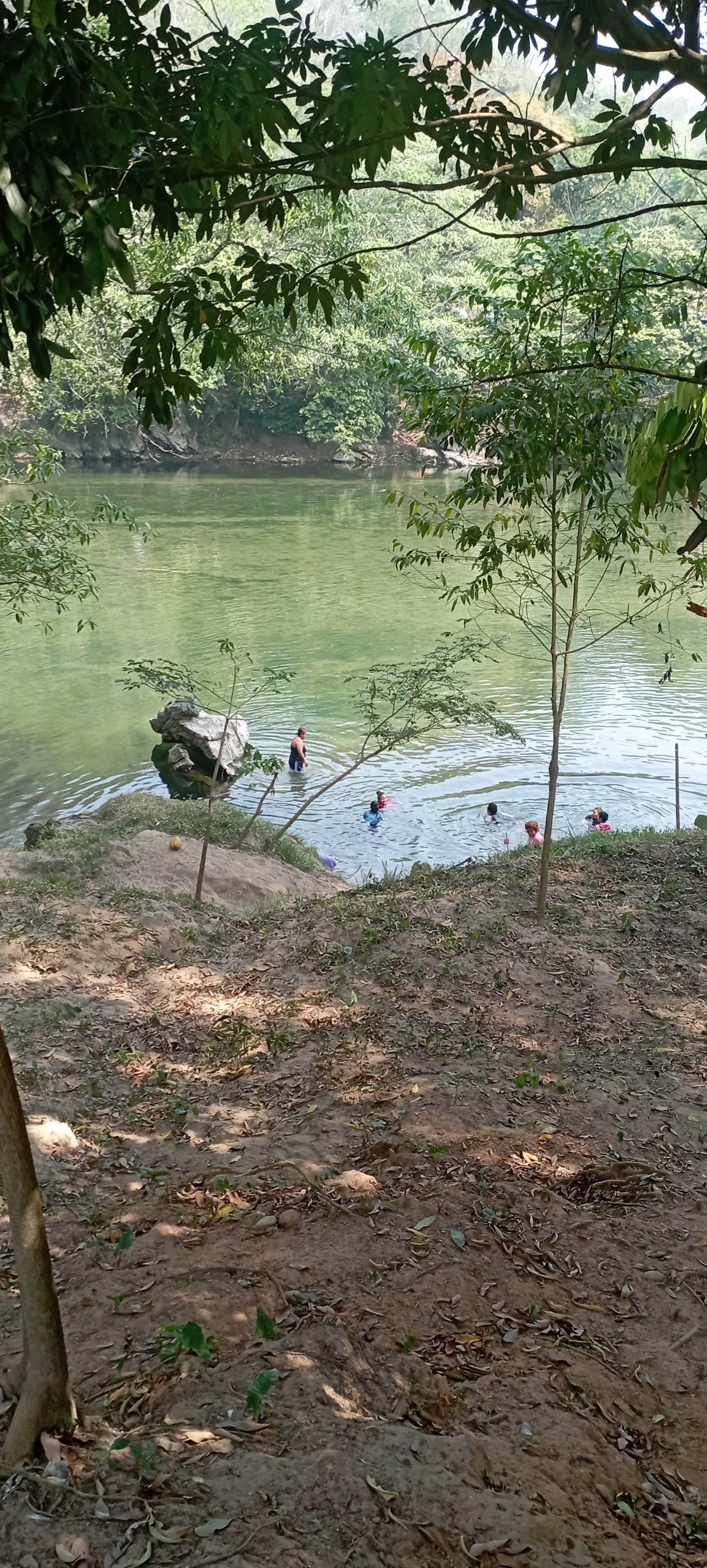 Divinas Alitas image 6