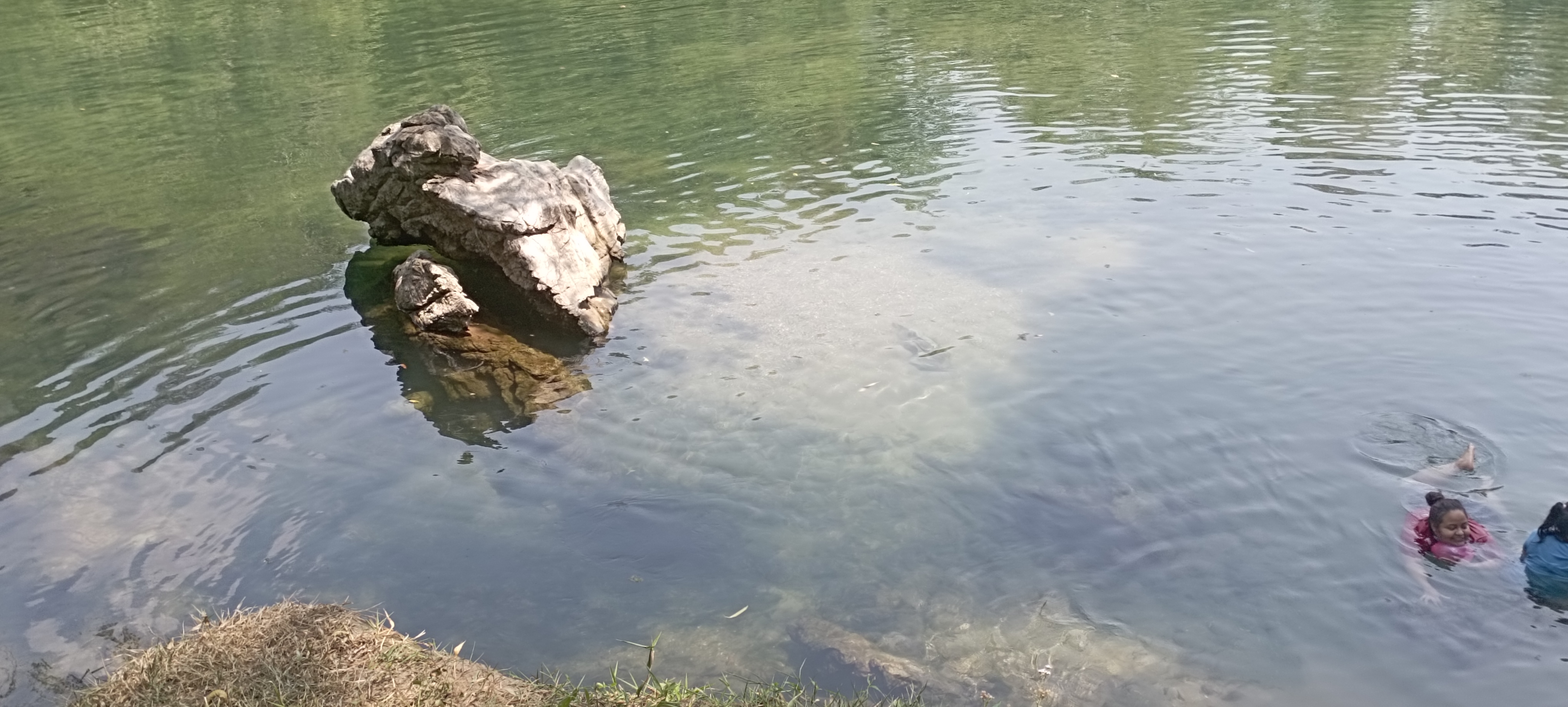 Divinas Alitas image 7