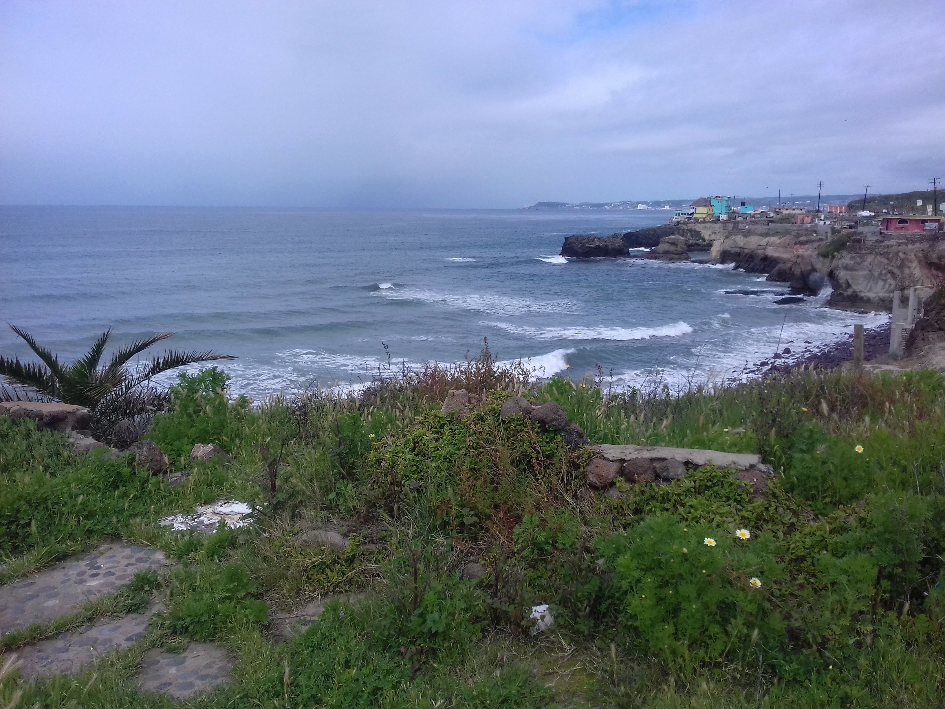 Half Way House / Medio Camino image 5