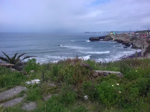 Half Way House / Medio Camino image 5
