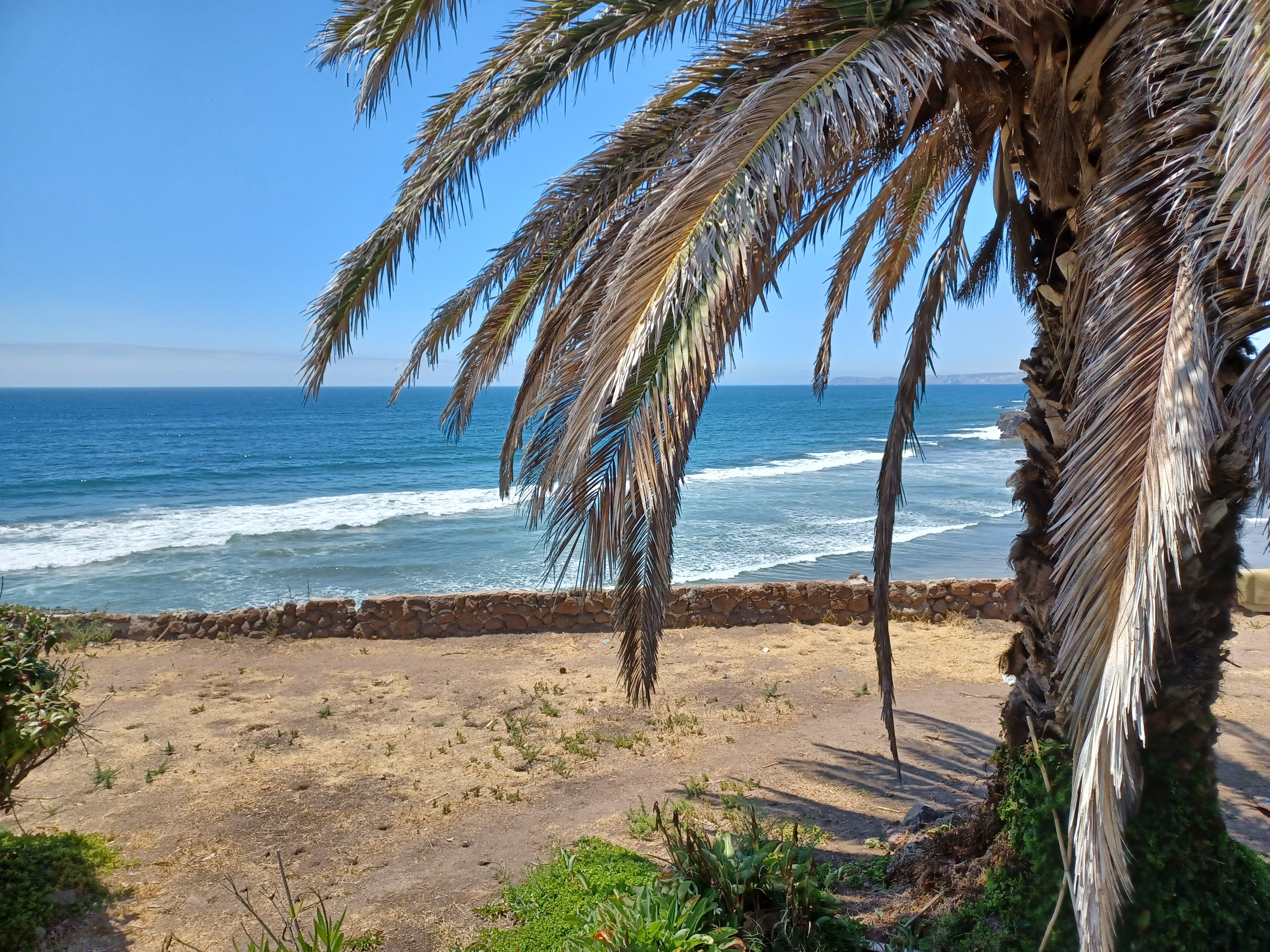 Half Way House / Medio Camino image 6