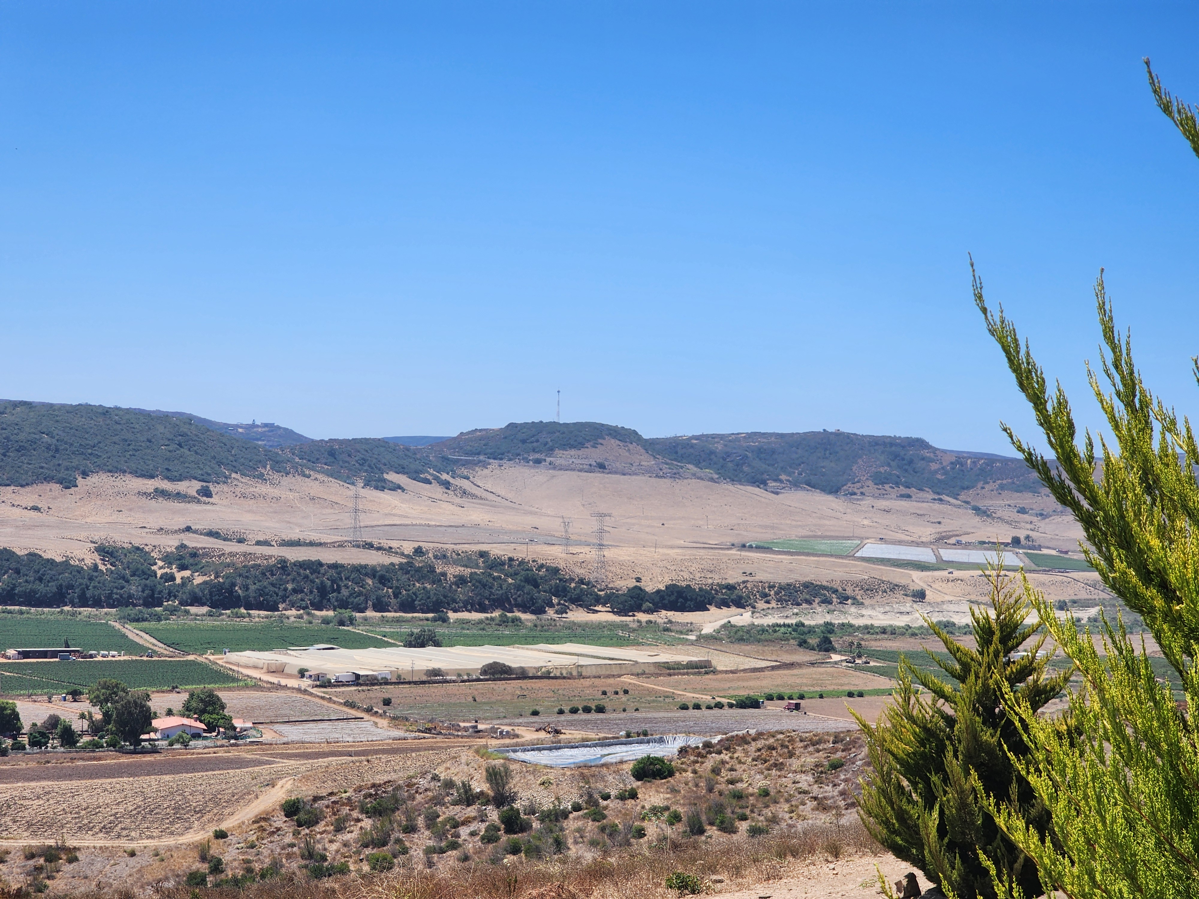 Fortuna Restaurante image 10