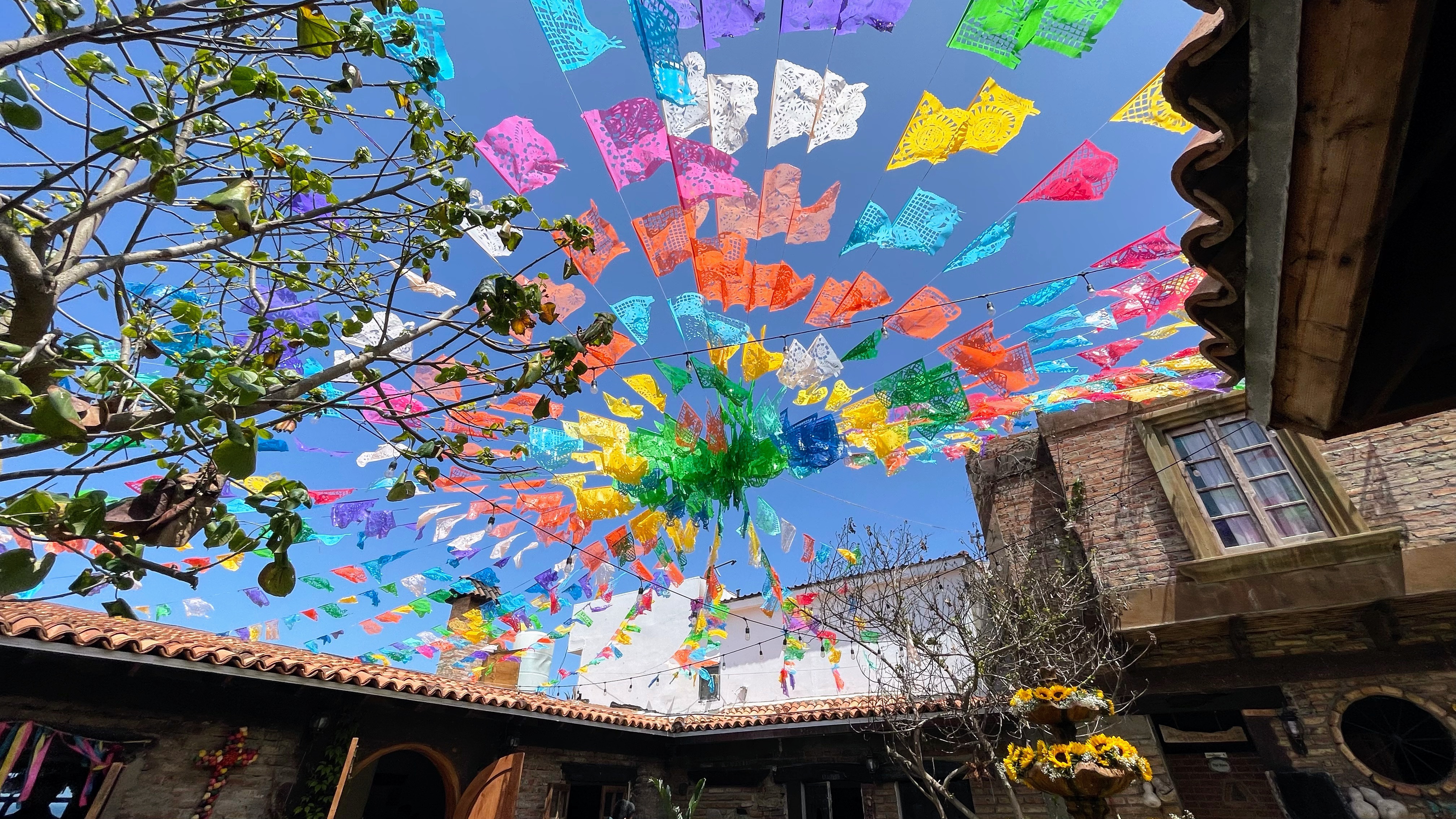 Nativosbaja3022 restaurant/bar image 5