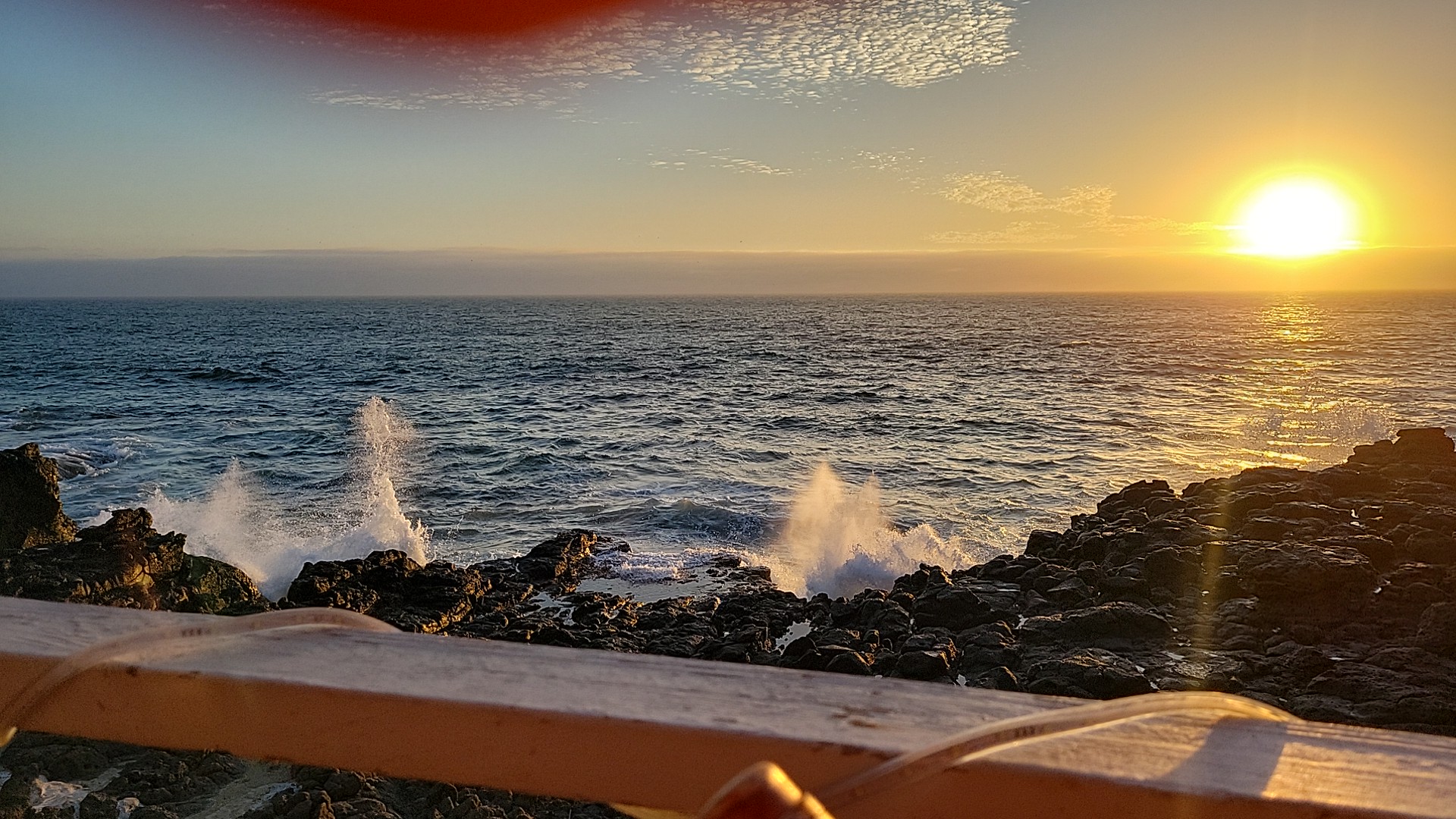 Nativosbaja3022 restaurant/bar image 7