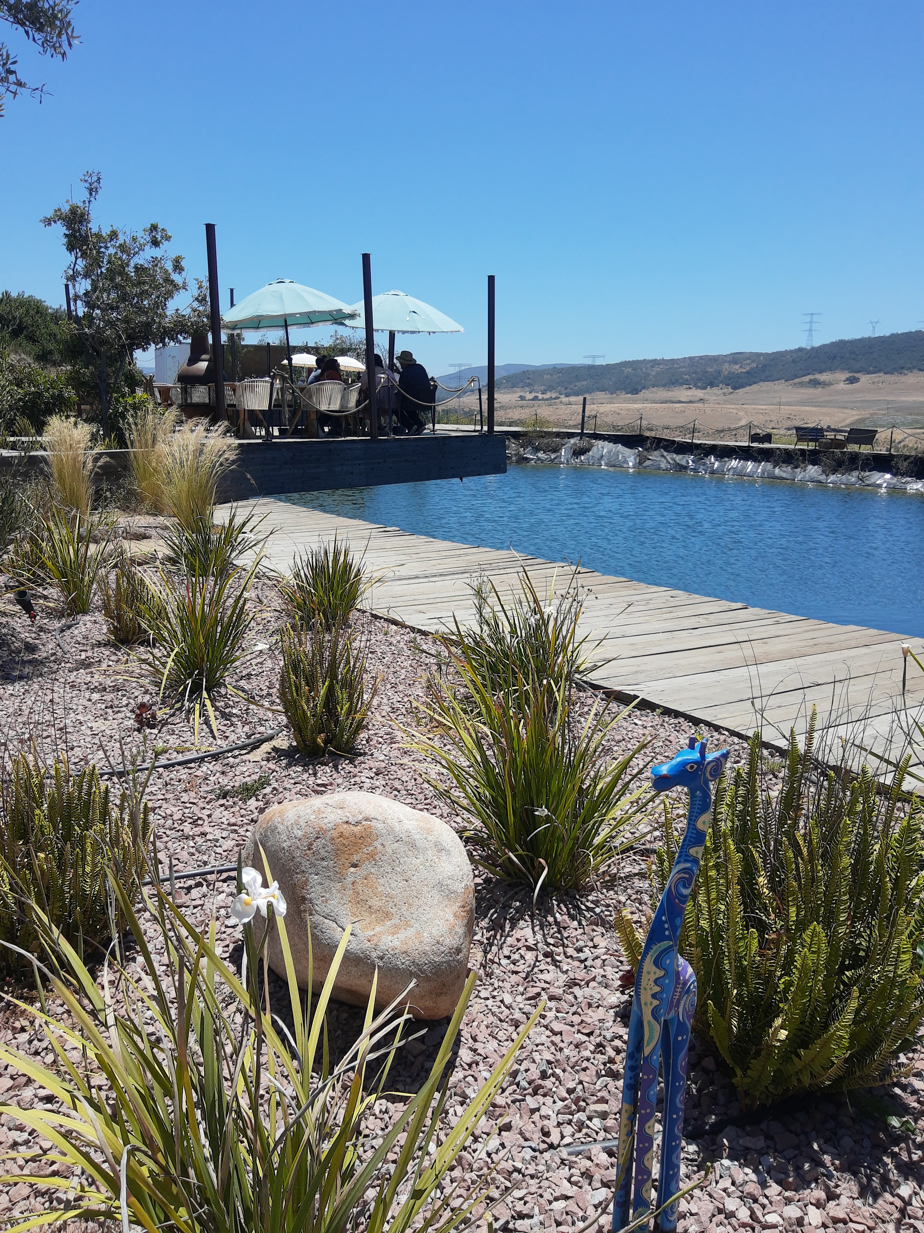 Mawi Valle Restaurante image 6