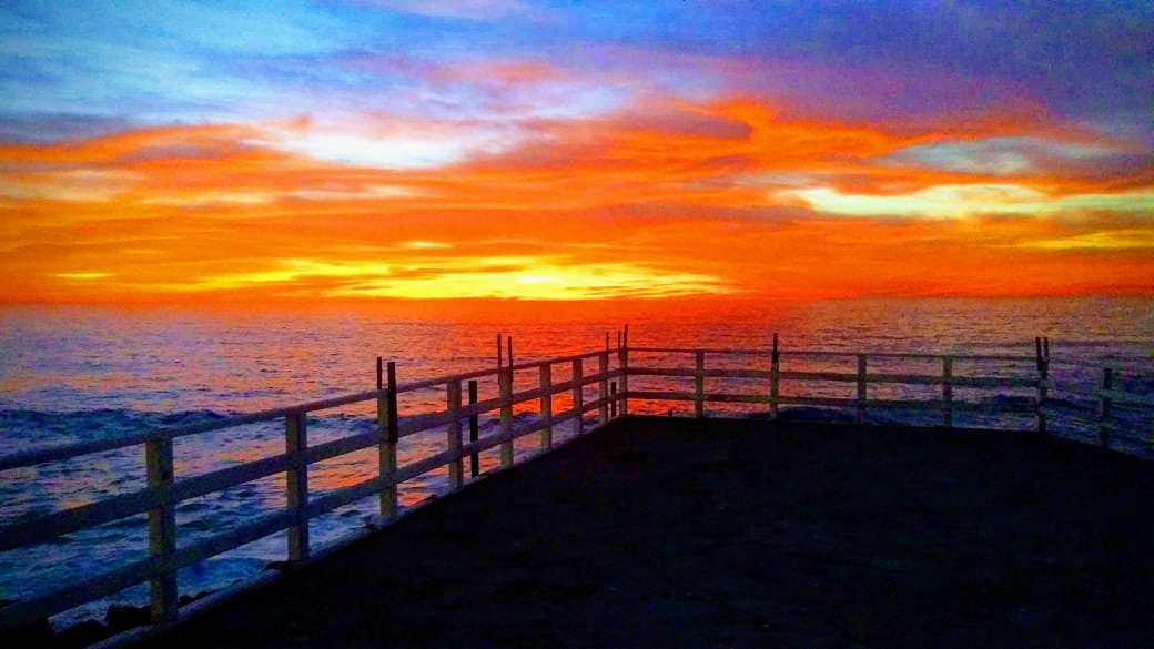 Mariscos Anarbol image 3