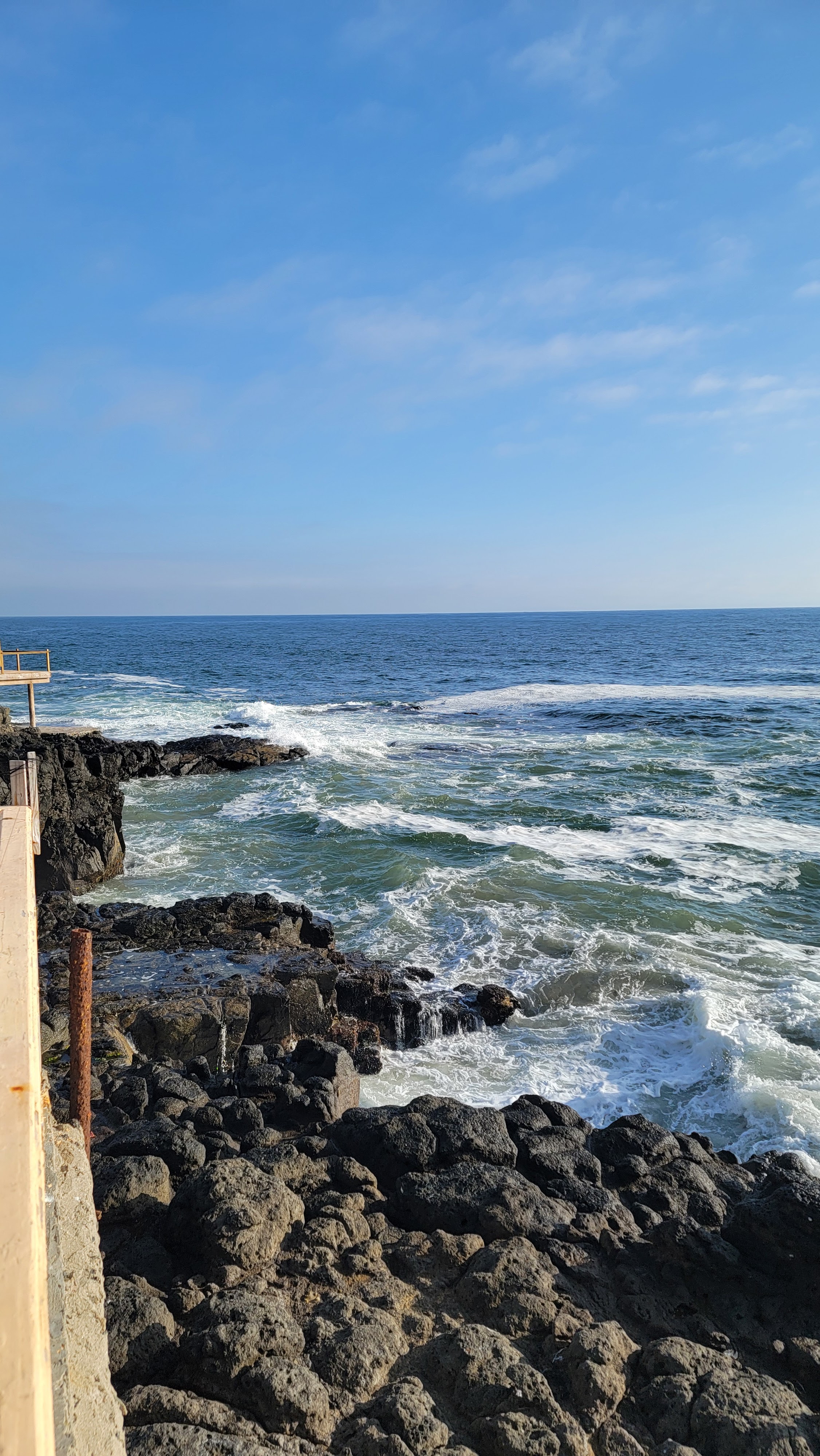 Mariscos Anarbol image 4