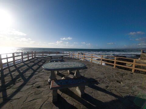 Mariscos Anarbol image 5
