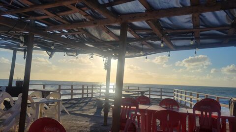 Mariscos Anarbol image 8