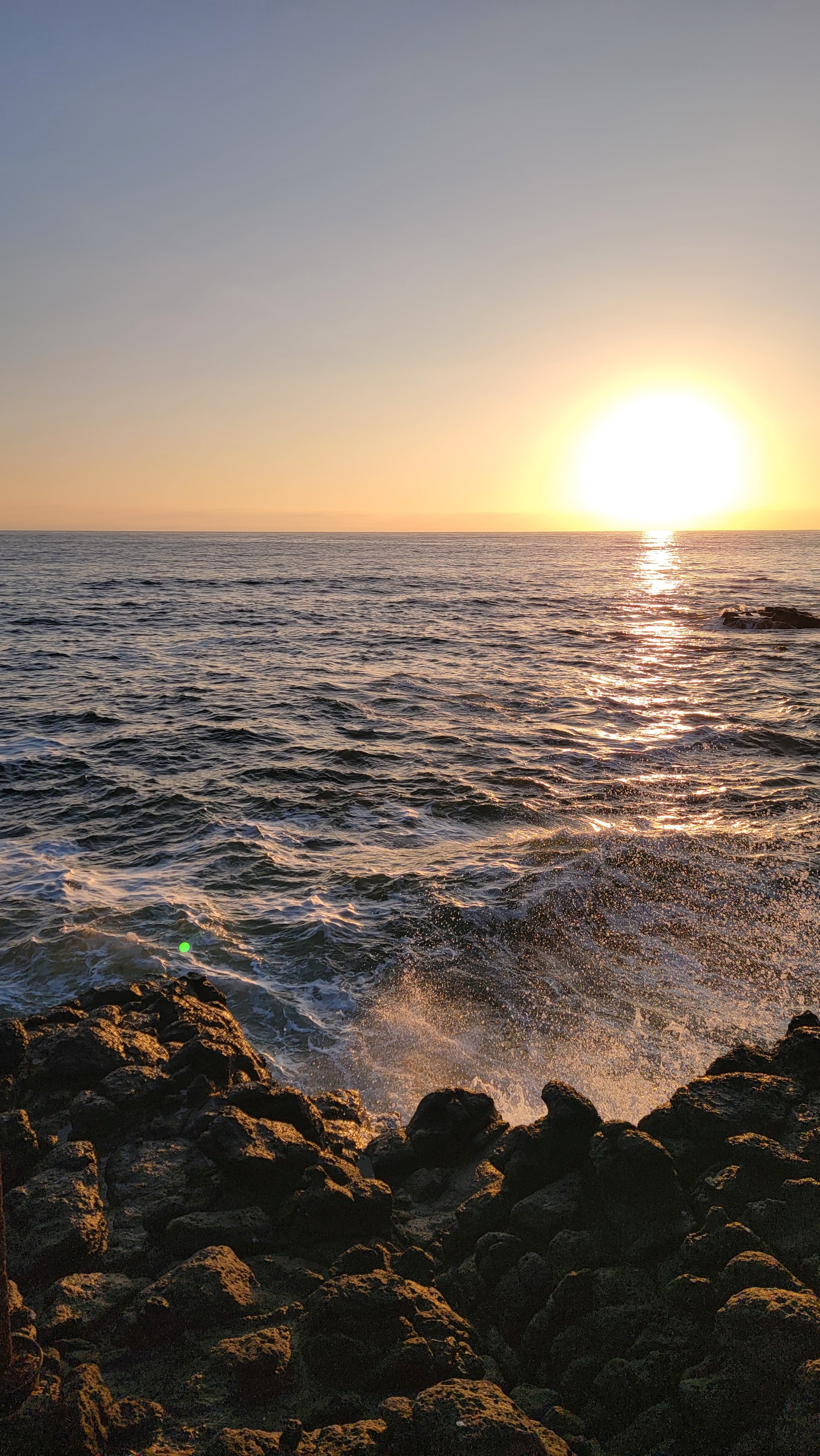 Mariscos Anarbol image 9