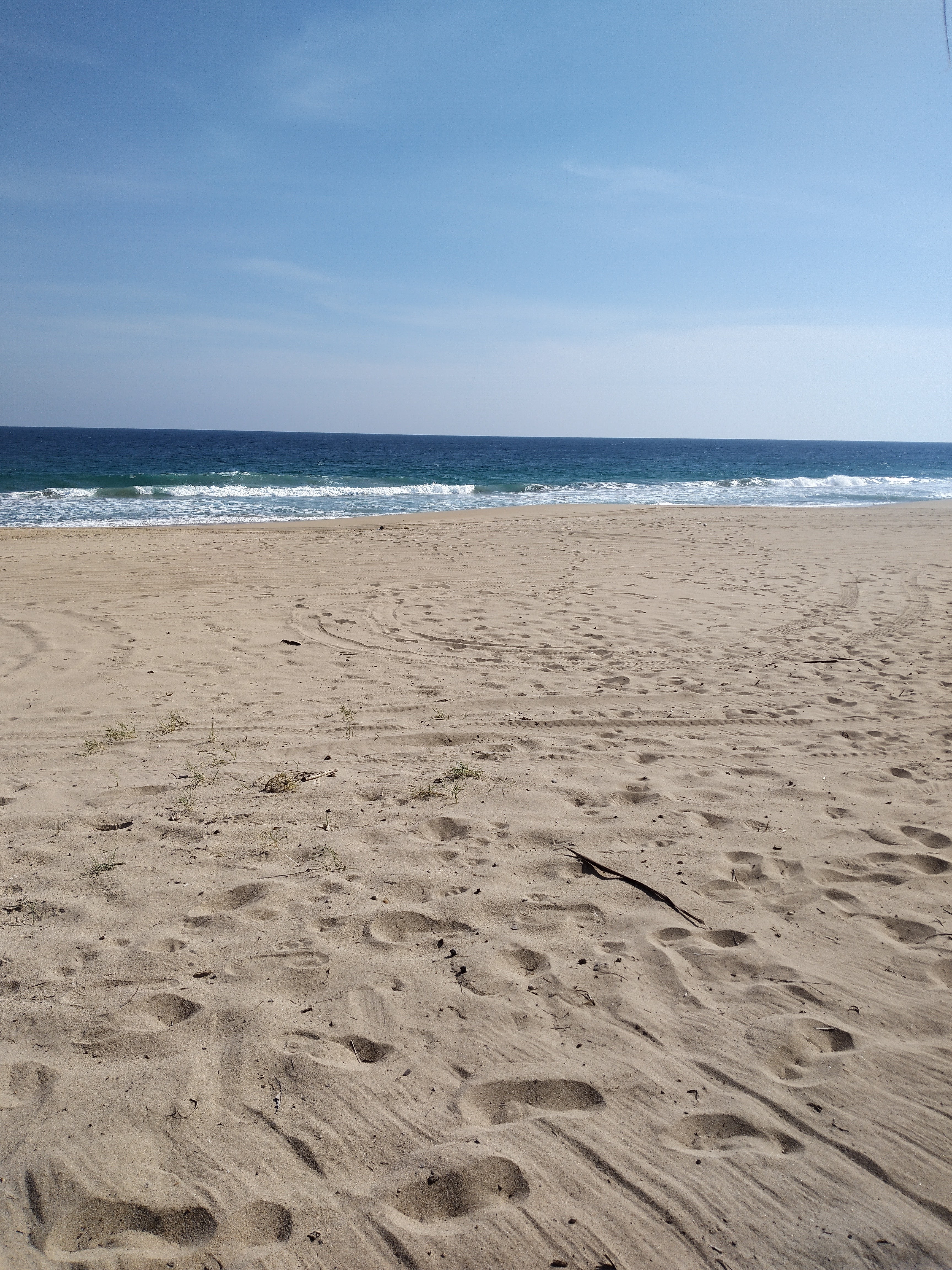 Beach Club Pacific Las Olas image 8