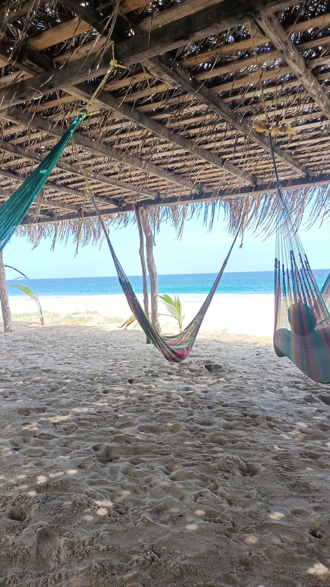 Quinta Toñita image 8