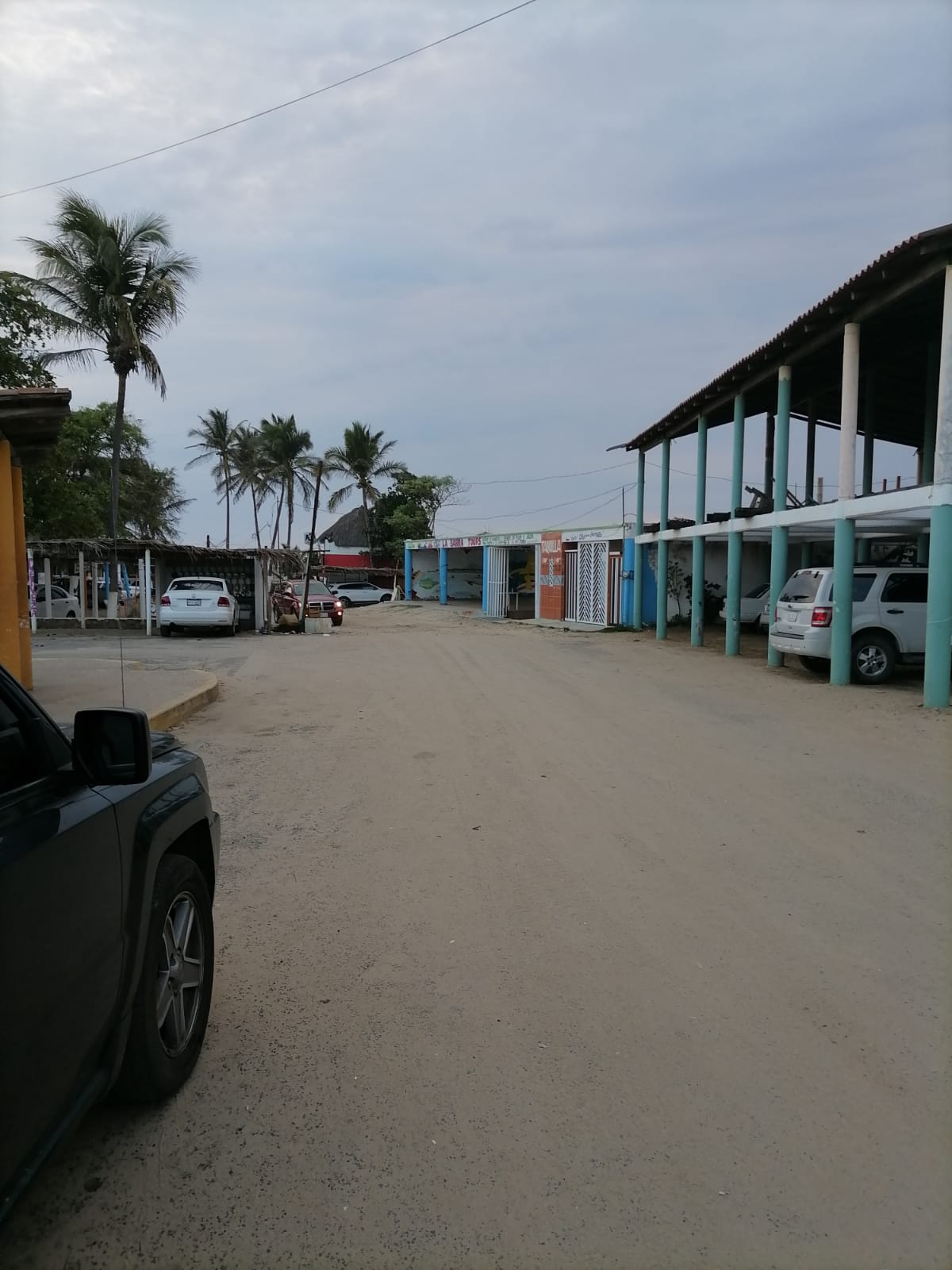 Enramada 3 palmitas image 3