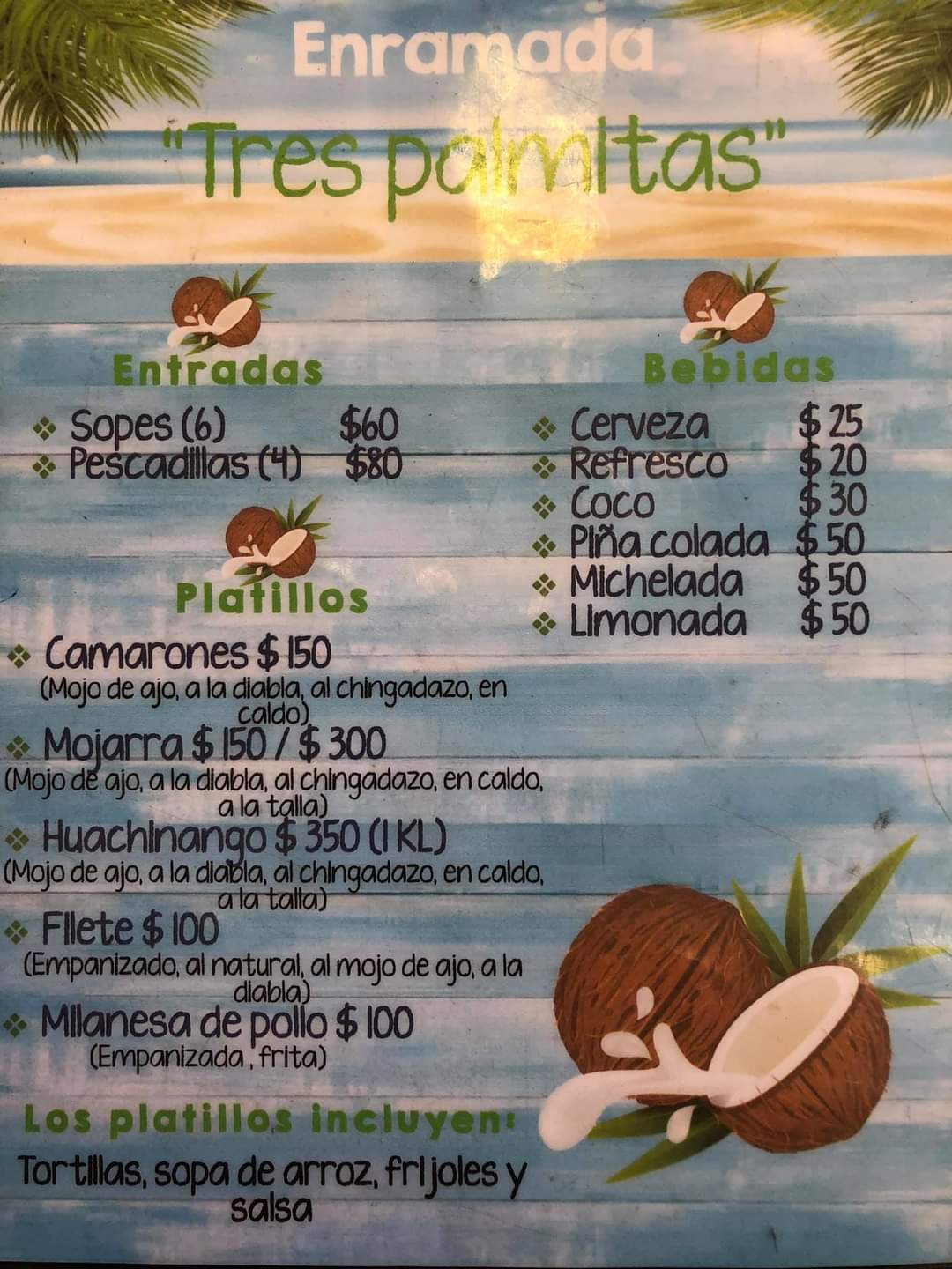 Enramada 3 palmitas image 6