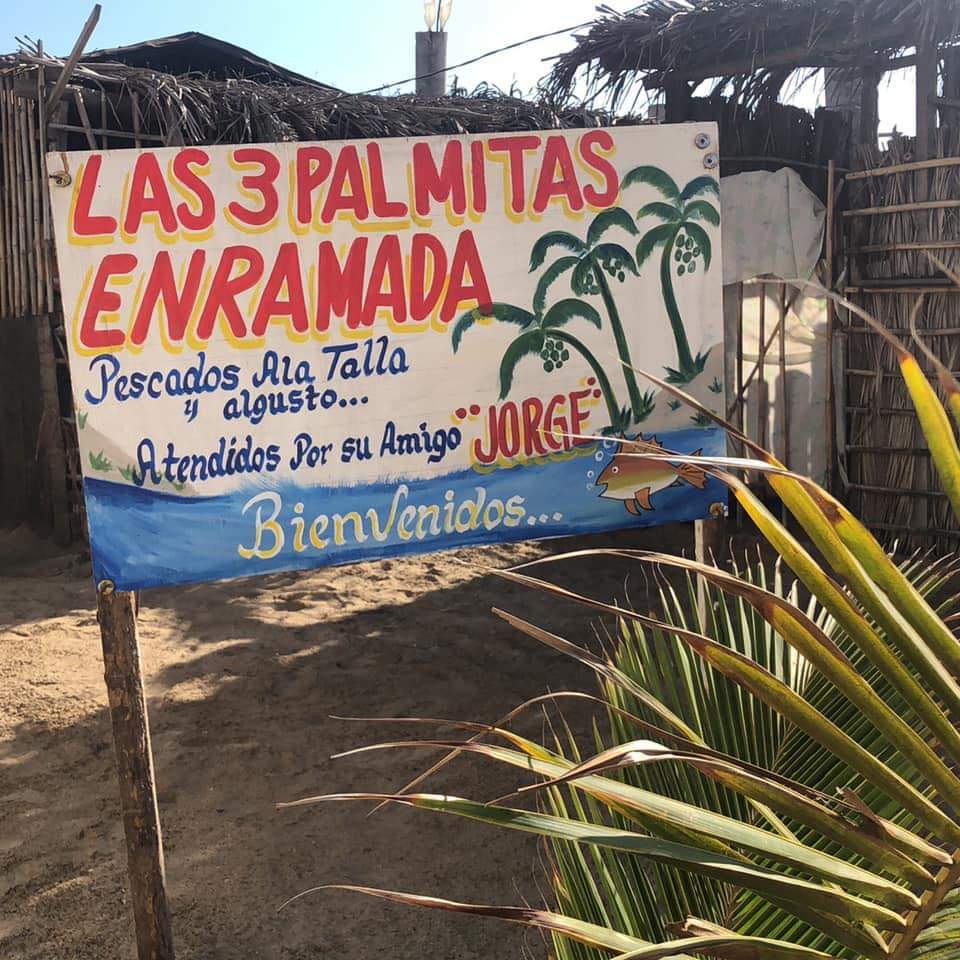 Enramada 3 palmitas image 7