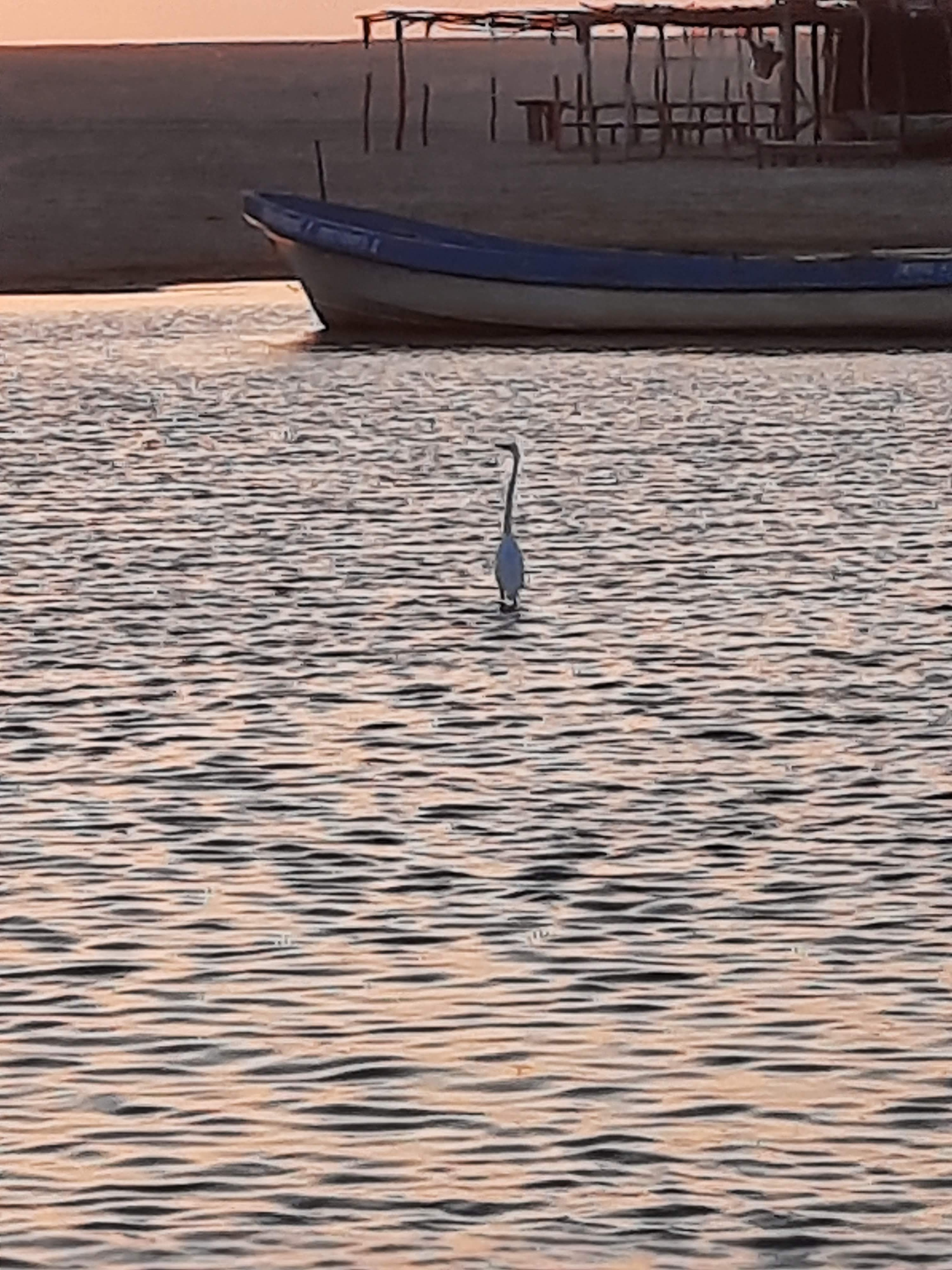 Enramada El Topo image 8