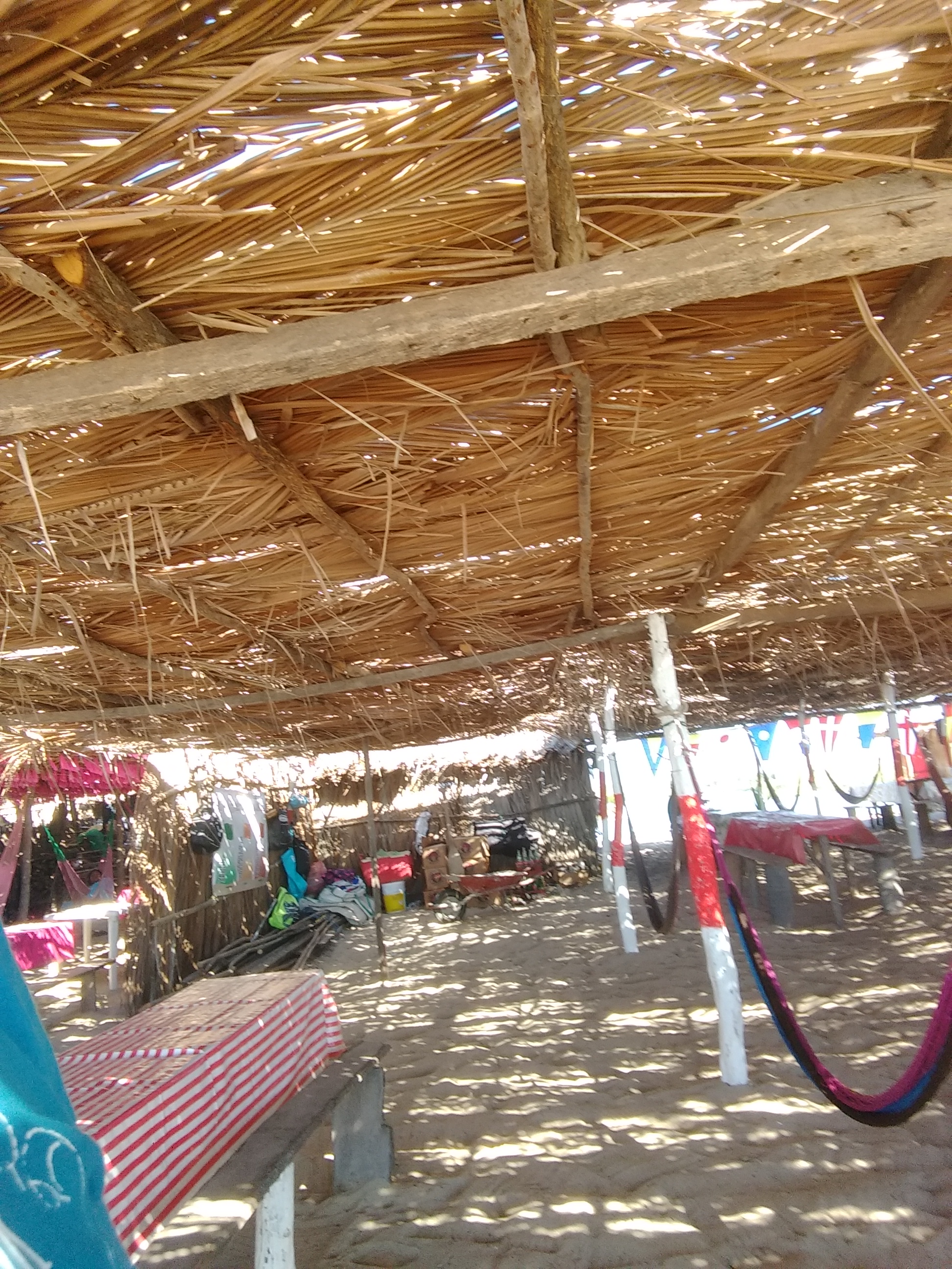 enrramada rincolandia image 4