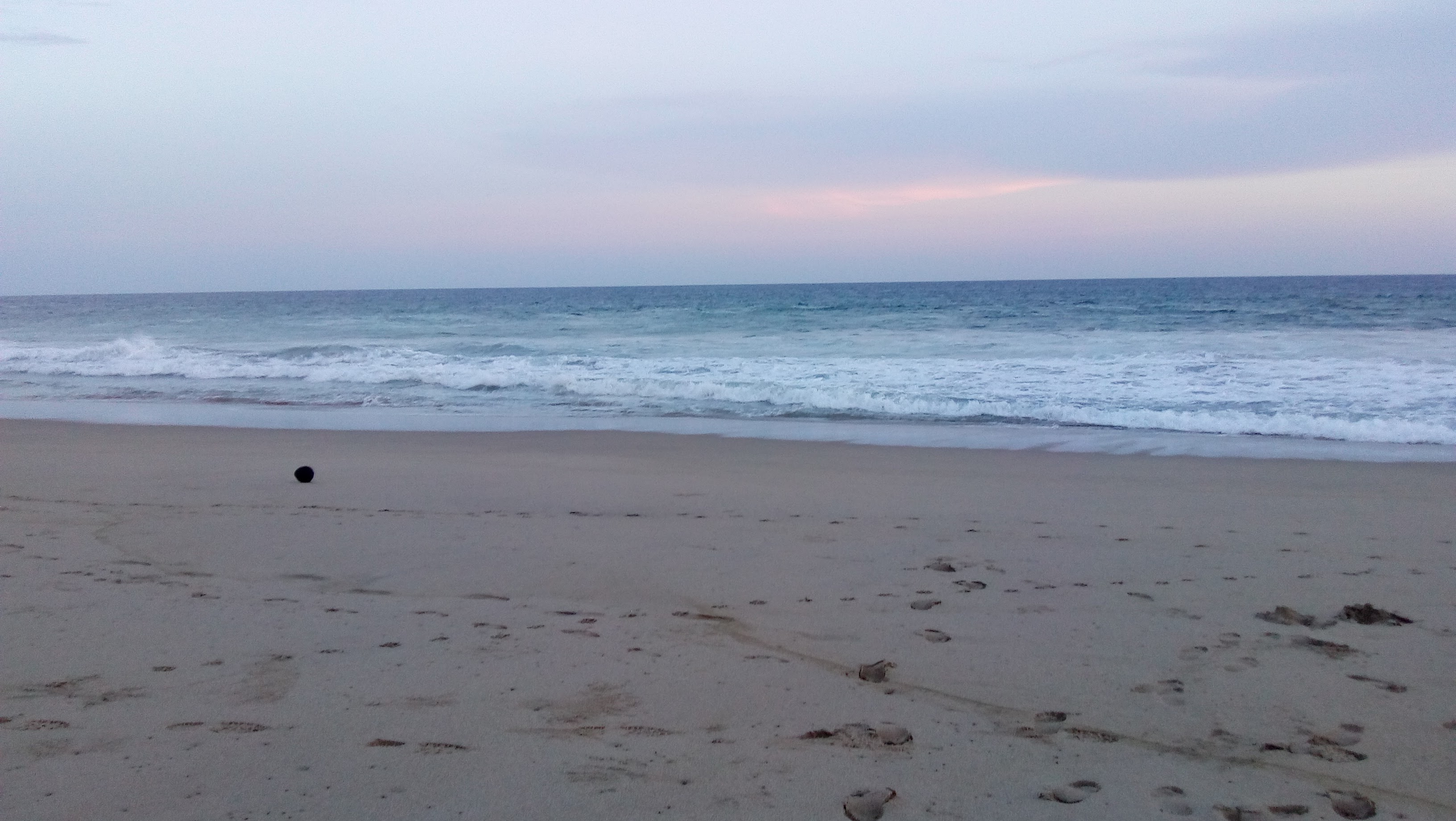 enrramada rincolandia image 8