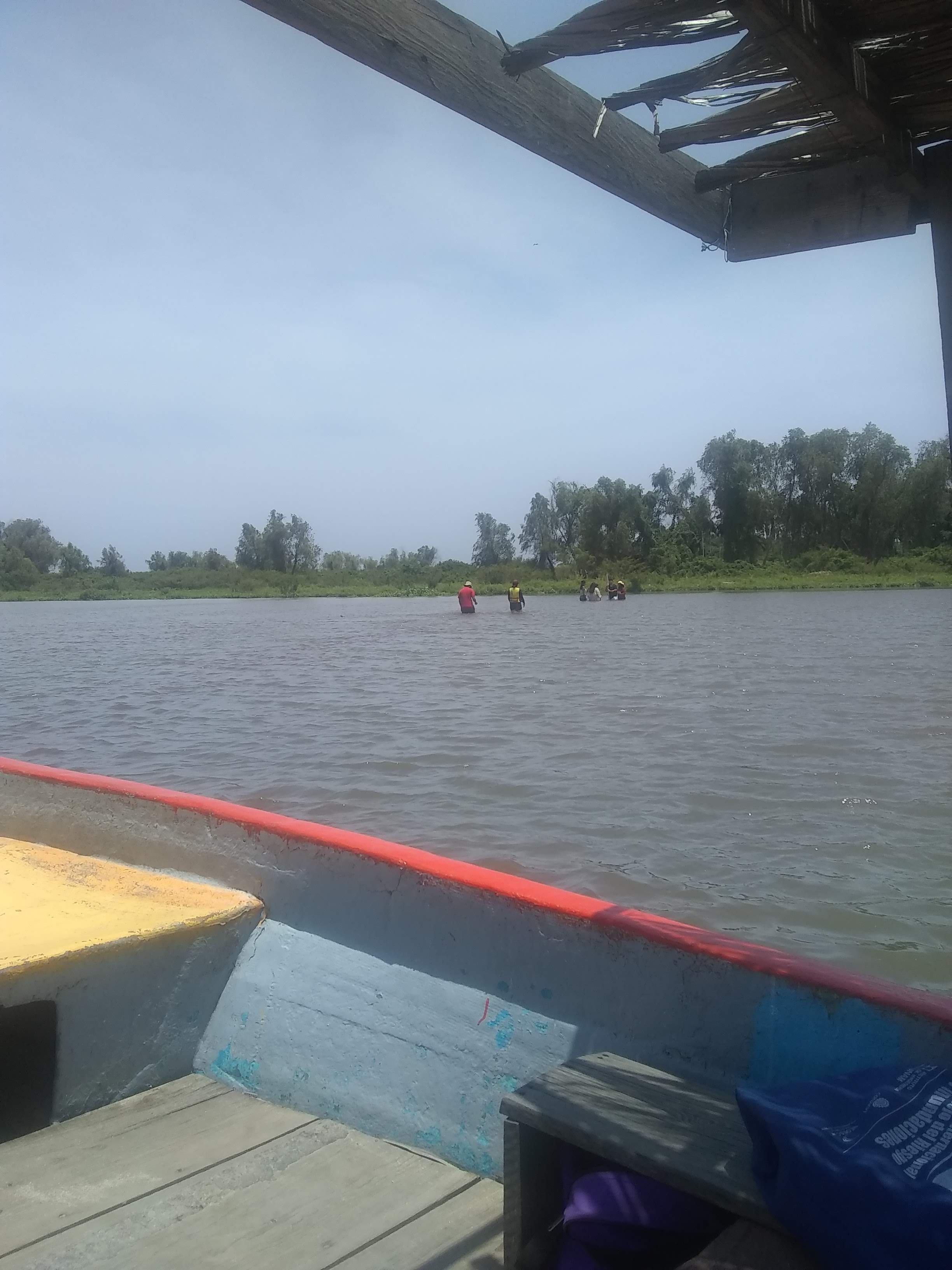 enrramada rincolandia image 10