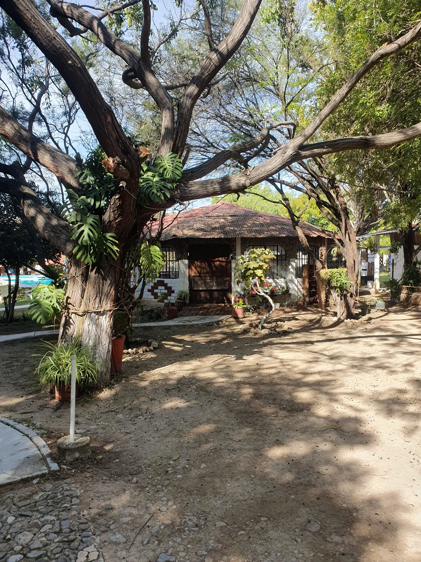 Campestre Los Sueños image 5