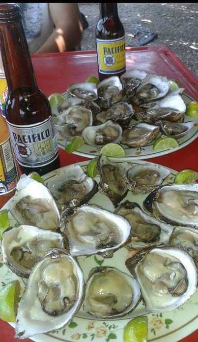 Mariscos El navegante image 4