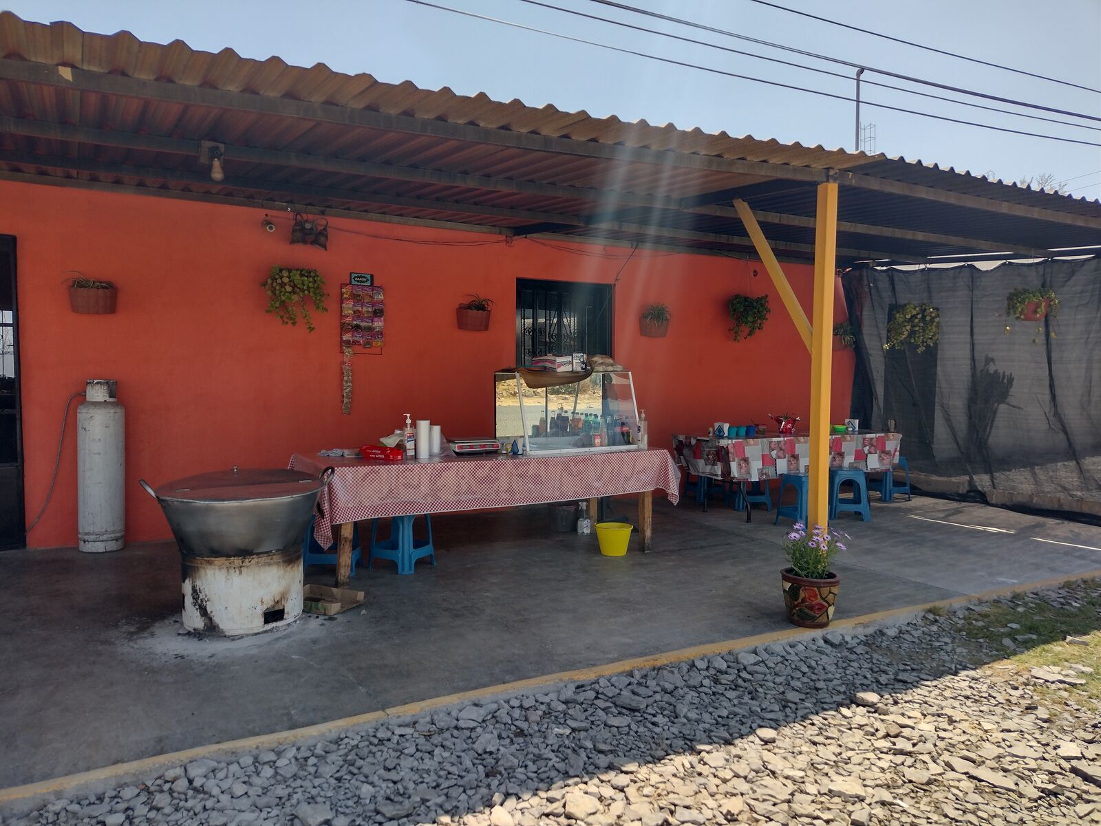 Carnitas Araceli Santillán image 3