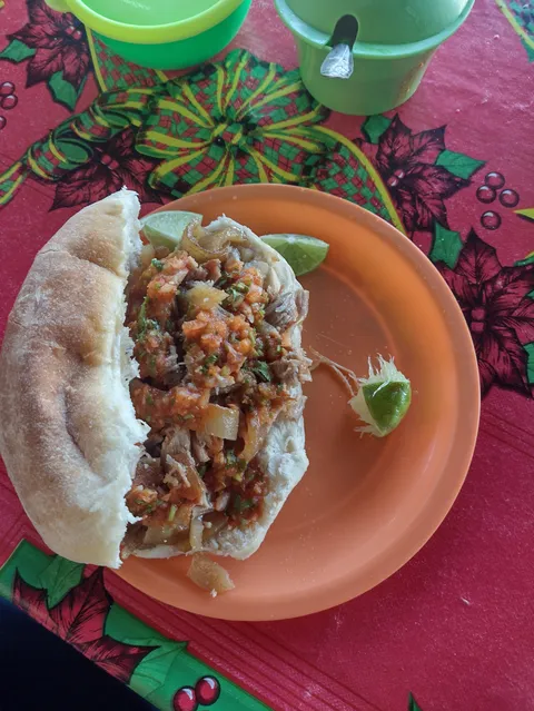 Carnitas Araceli Santillán image 4