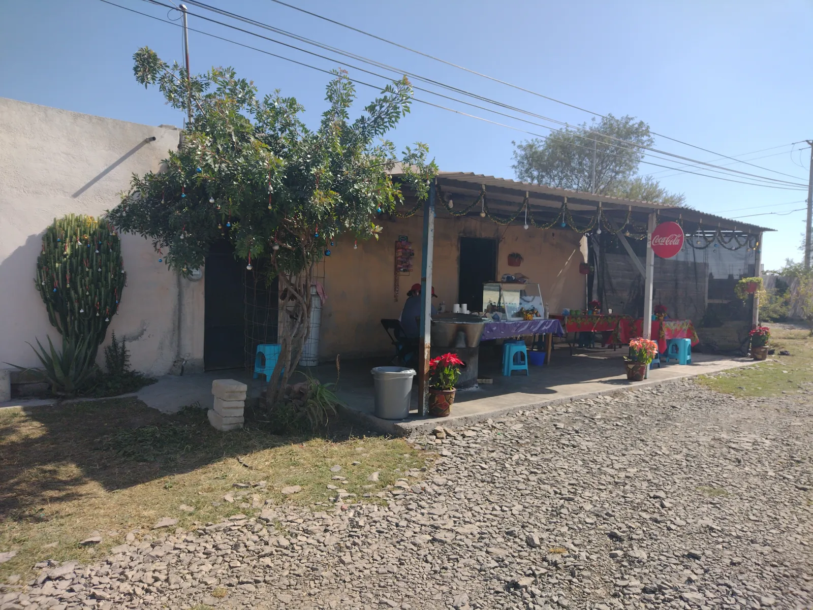 Carnitas Araceli Santillán image 8