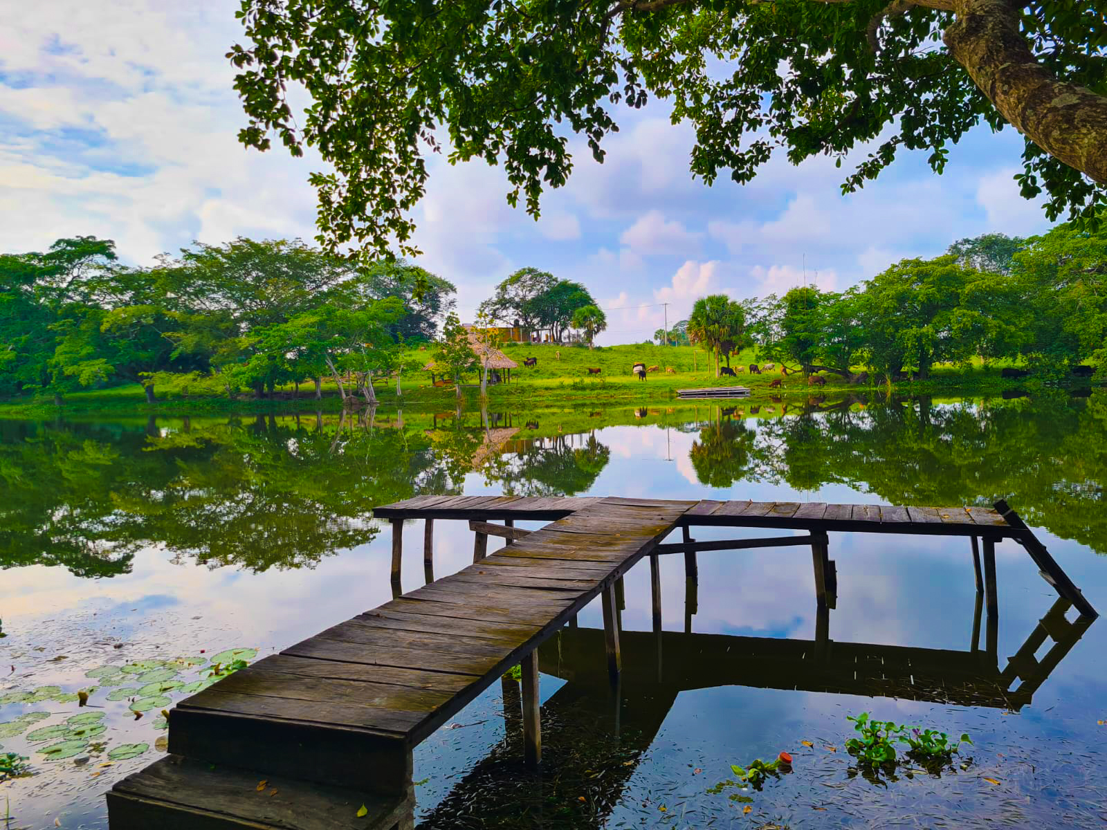 La Palapa de Gonzalo image 5