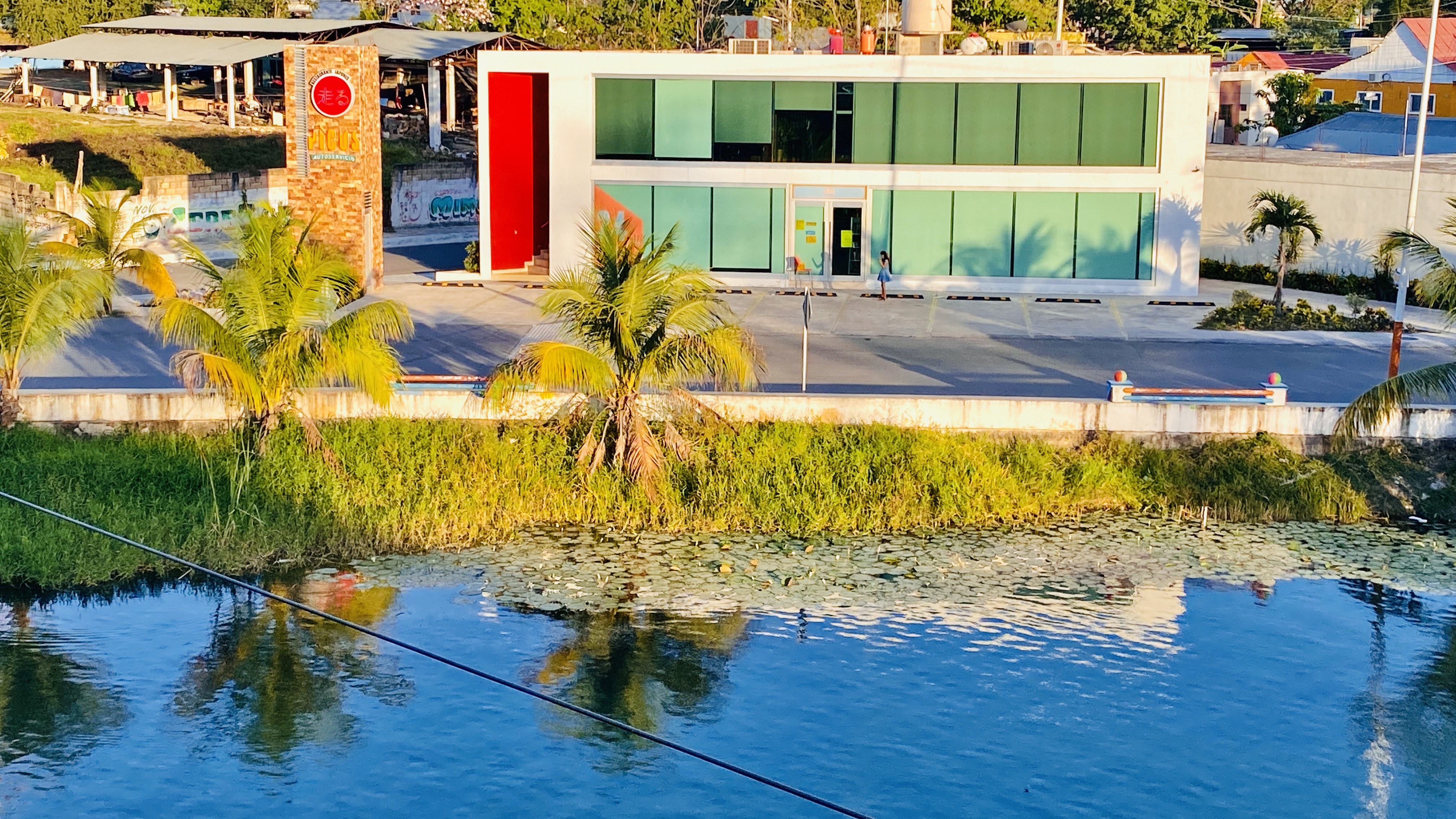 Hashiru restaurante japonés image 8