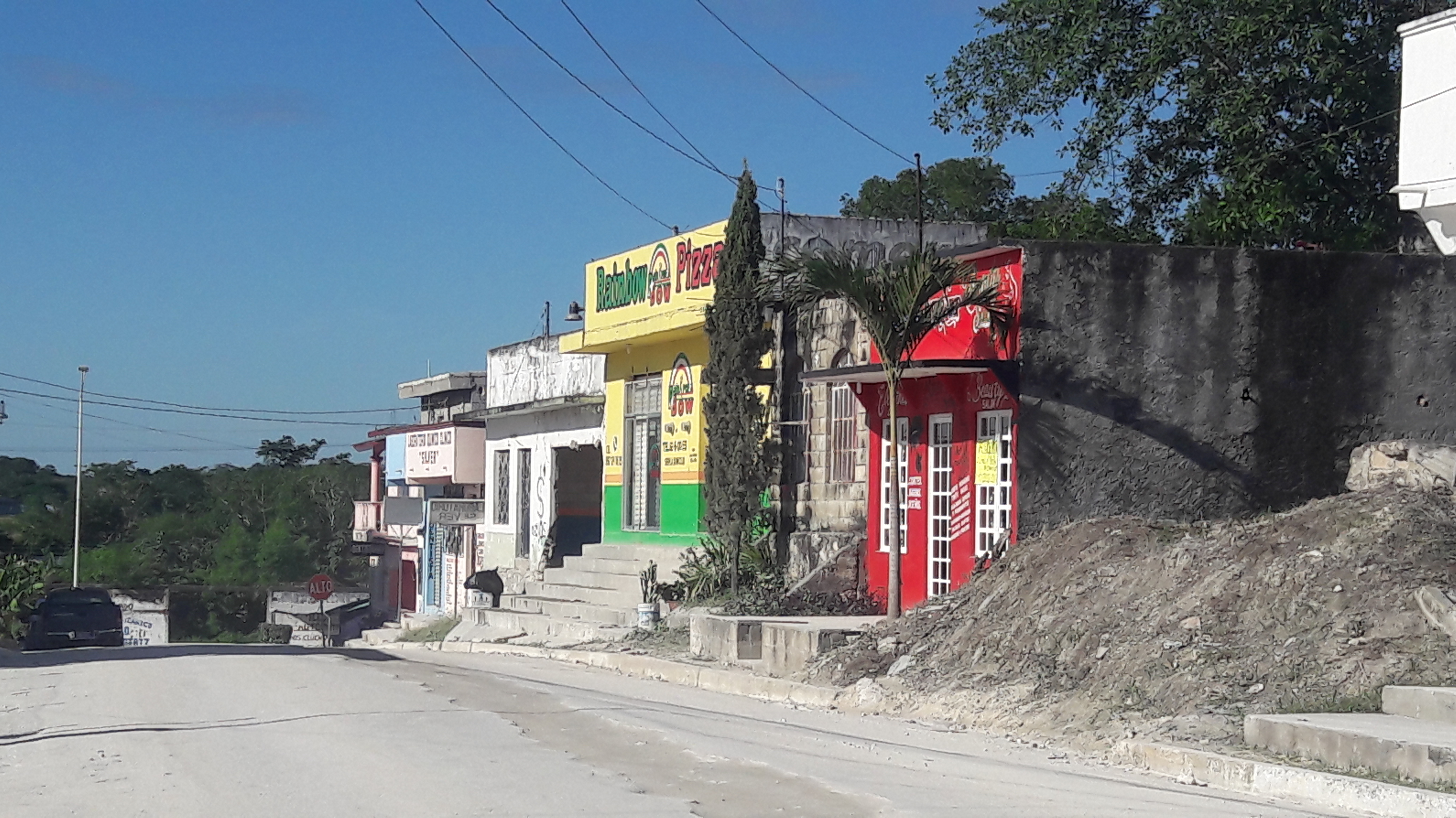 RainBow pizza image 2