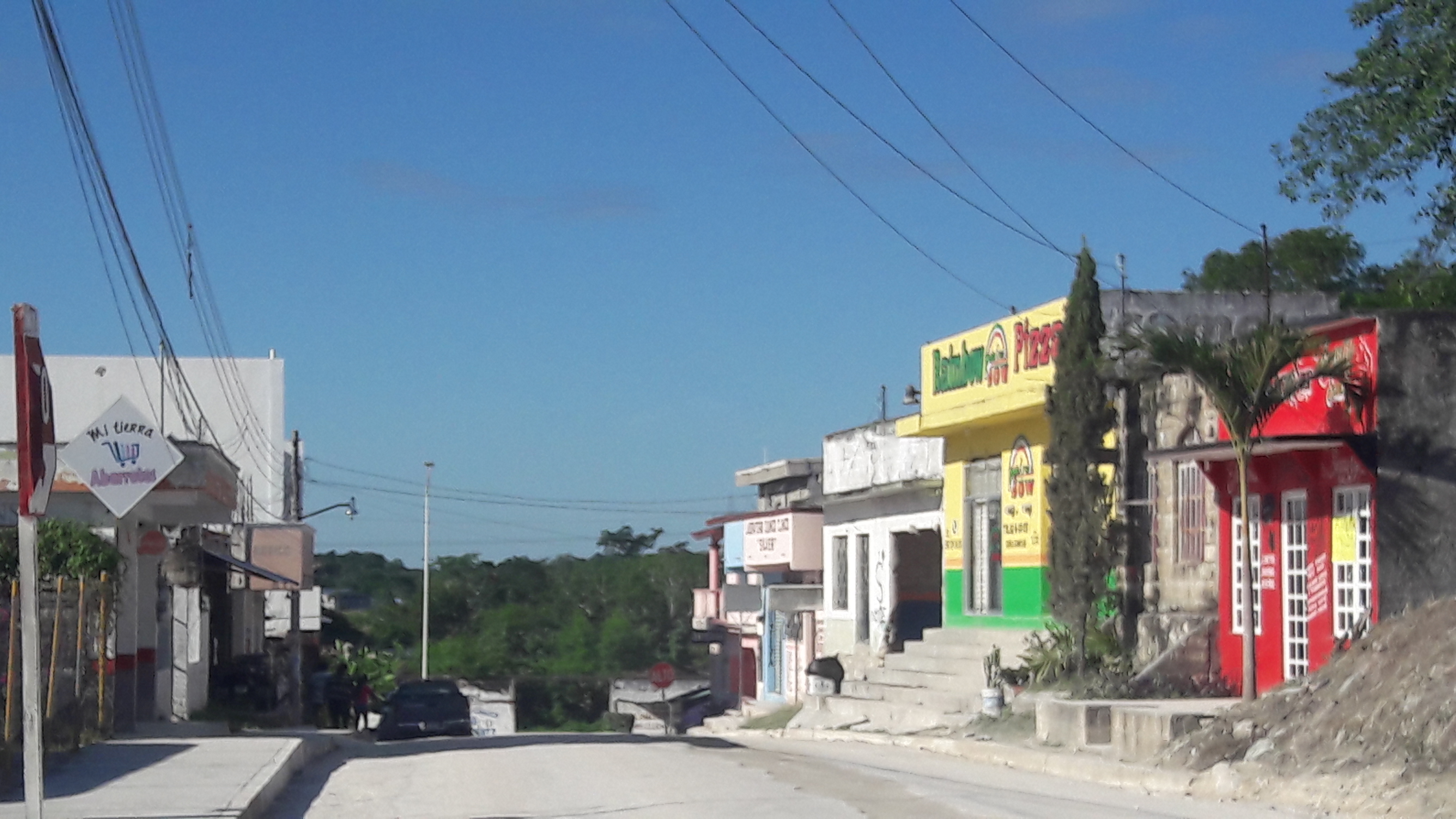 RainBow pizza image 8